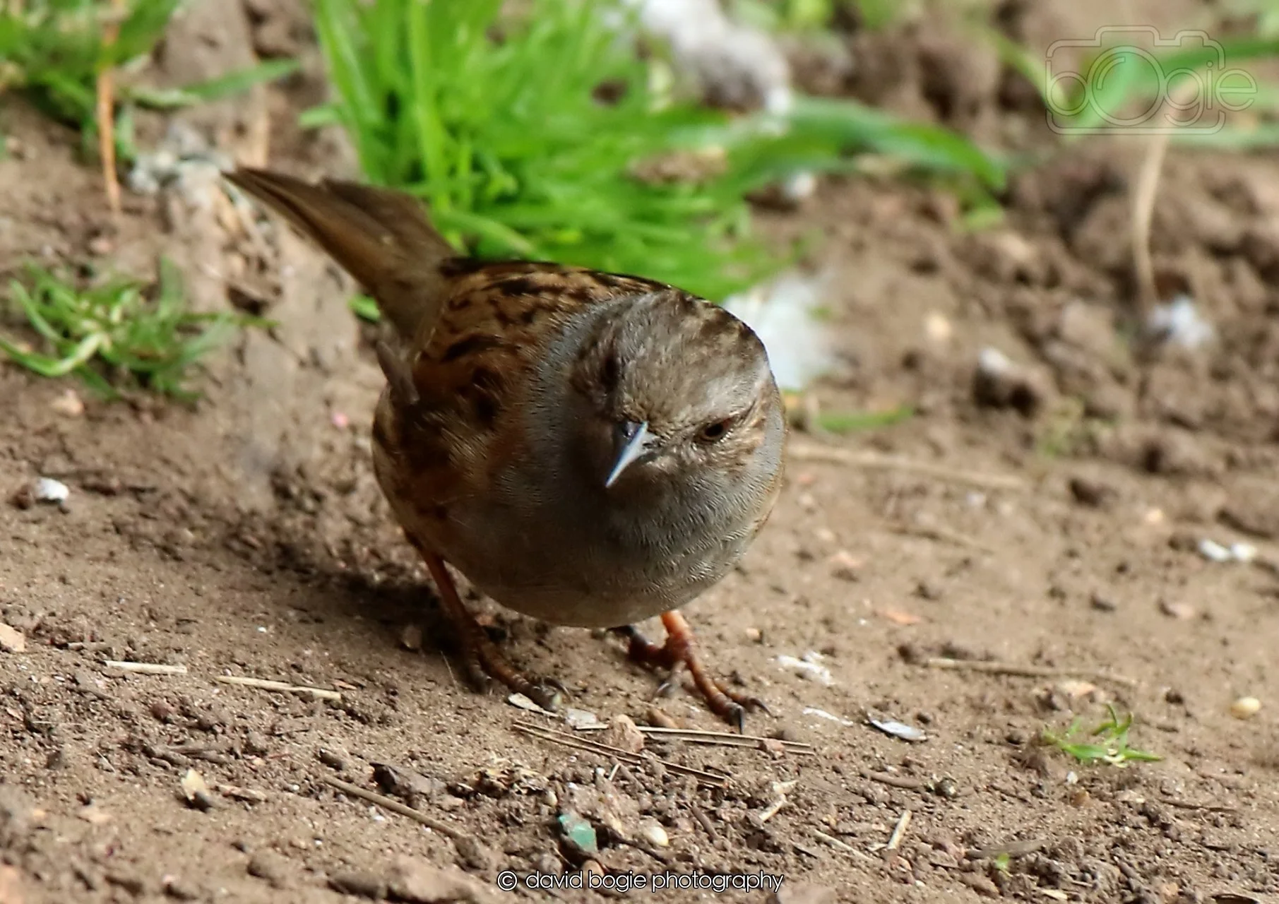 20260326 120122 Silverburn 0301.jpg