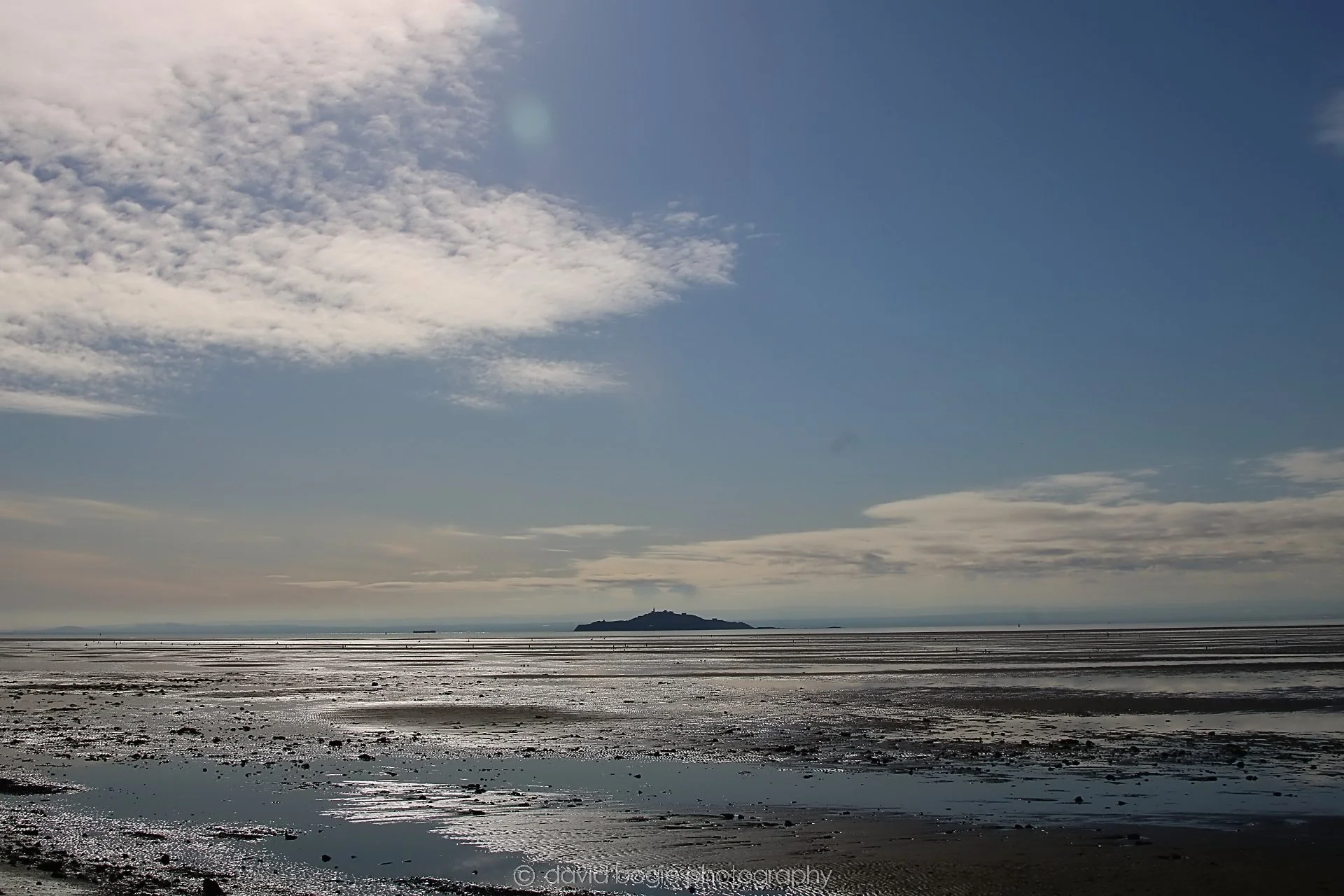 20210413 Kinghorn (3) .jpg