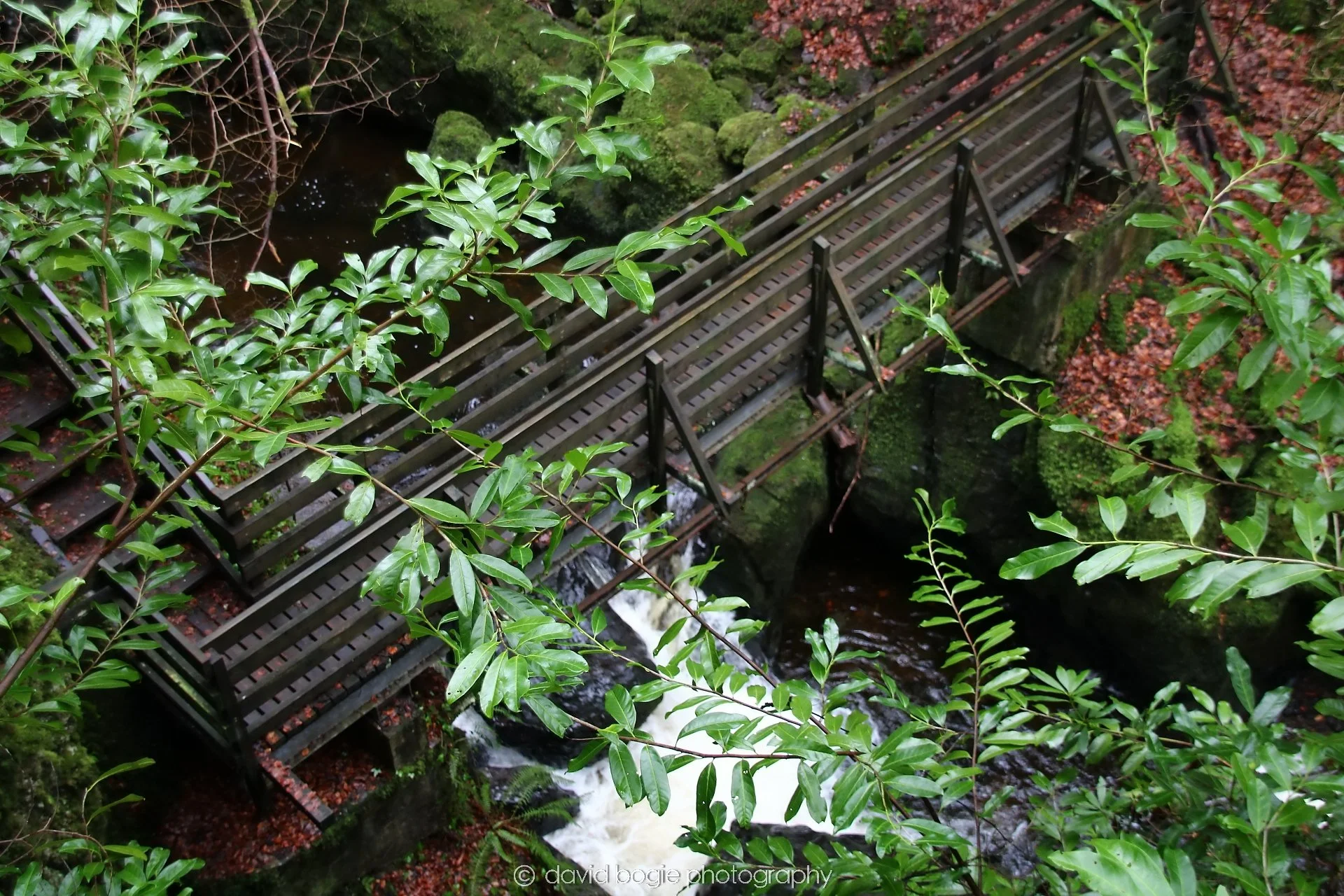 YEAR20250114 141543 Rumbling Bridge 0068.jpg