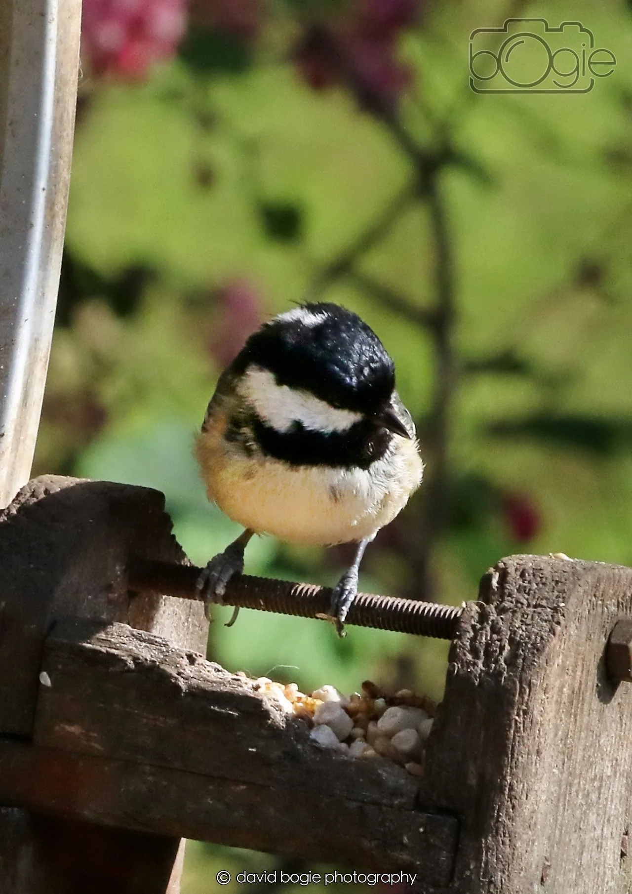 20260402 100510 Silverburn 0074.jpg