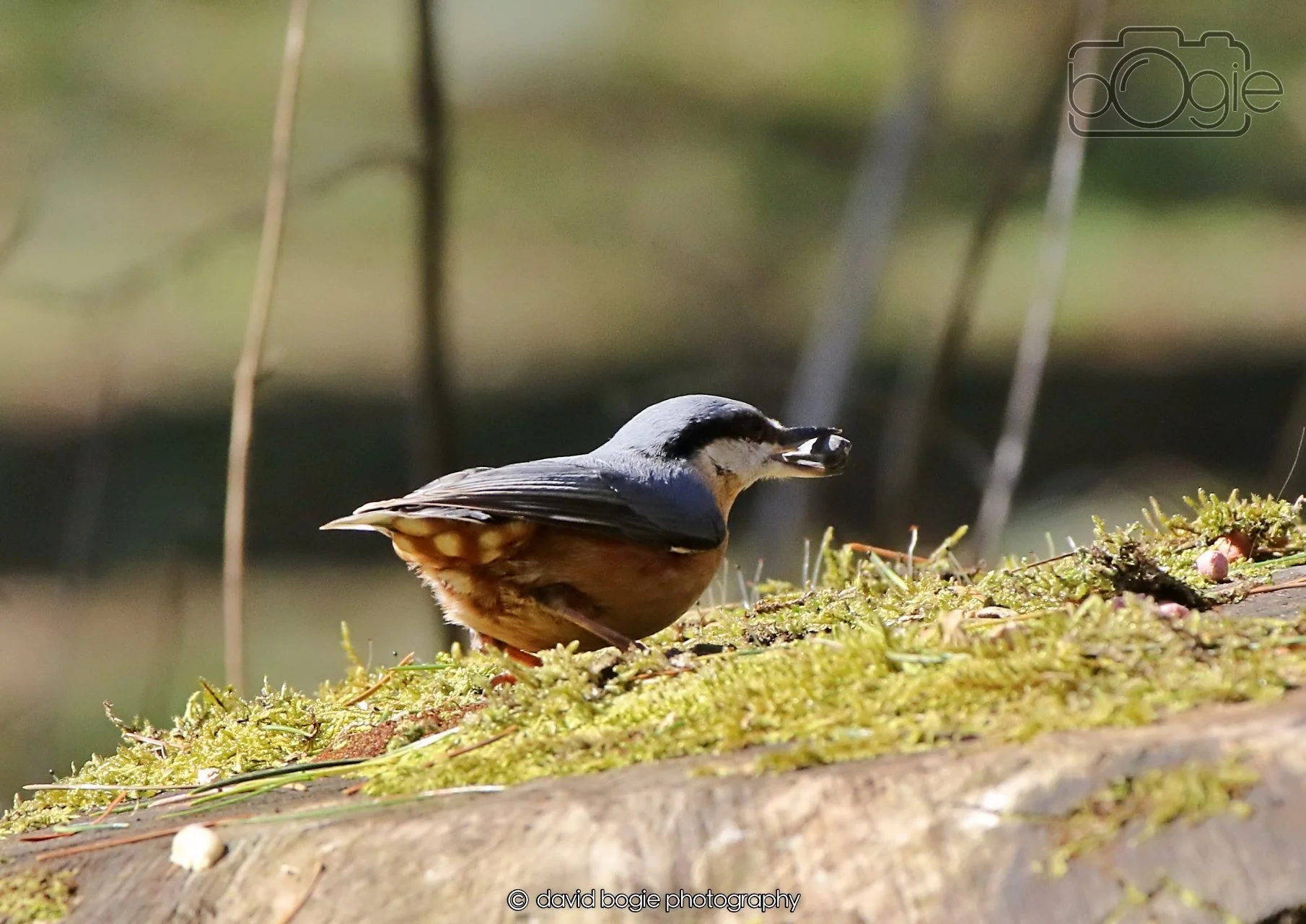 20260402 123911 Ravenscraig 0493.jpg