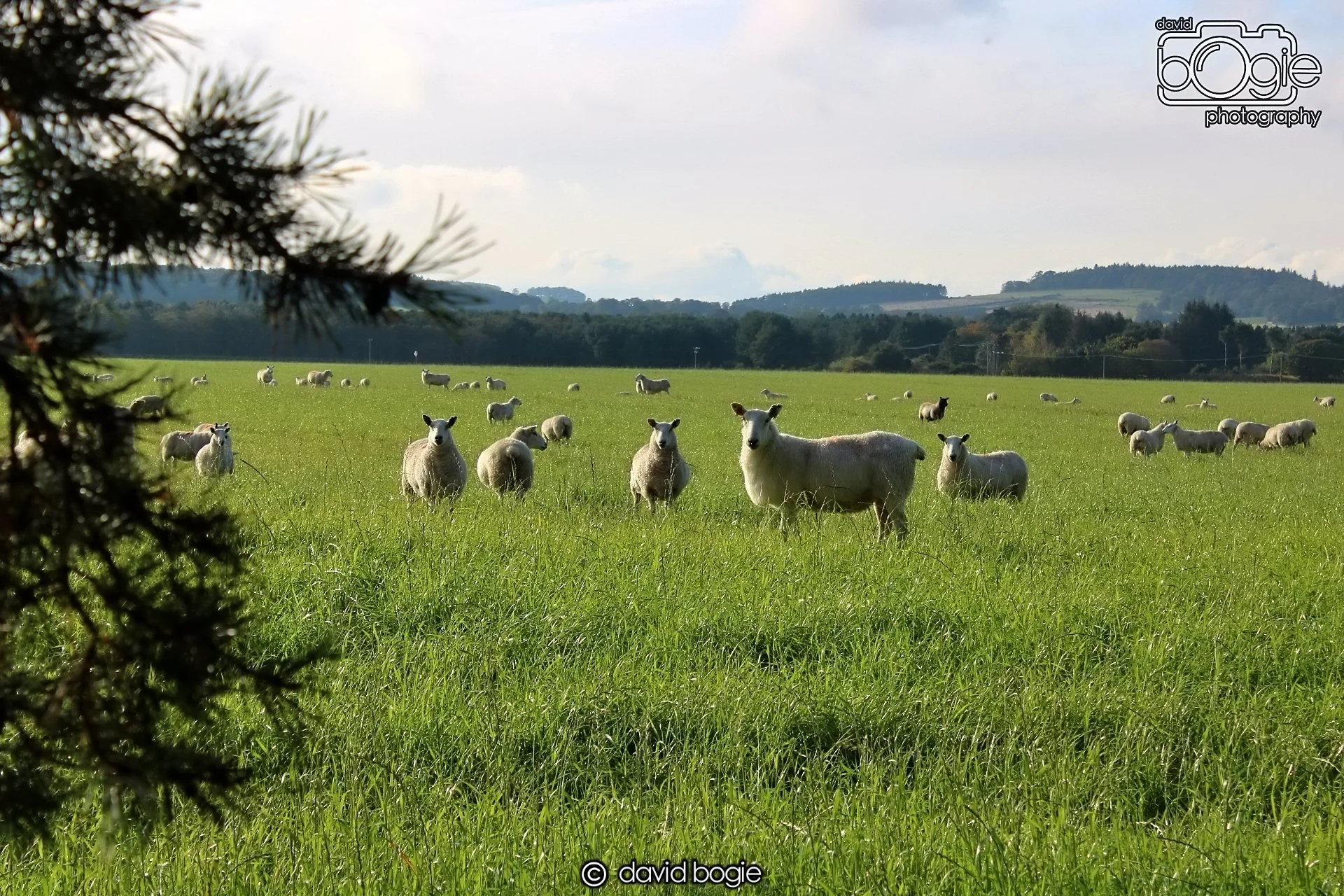 20191014 152147 Tentsmuir 0040.JPG