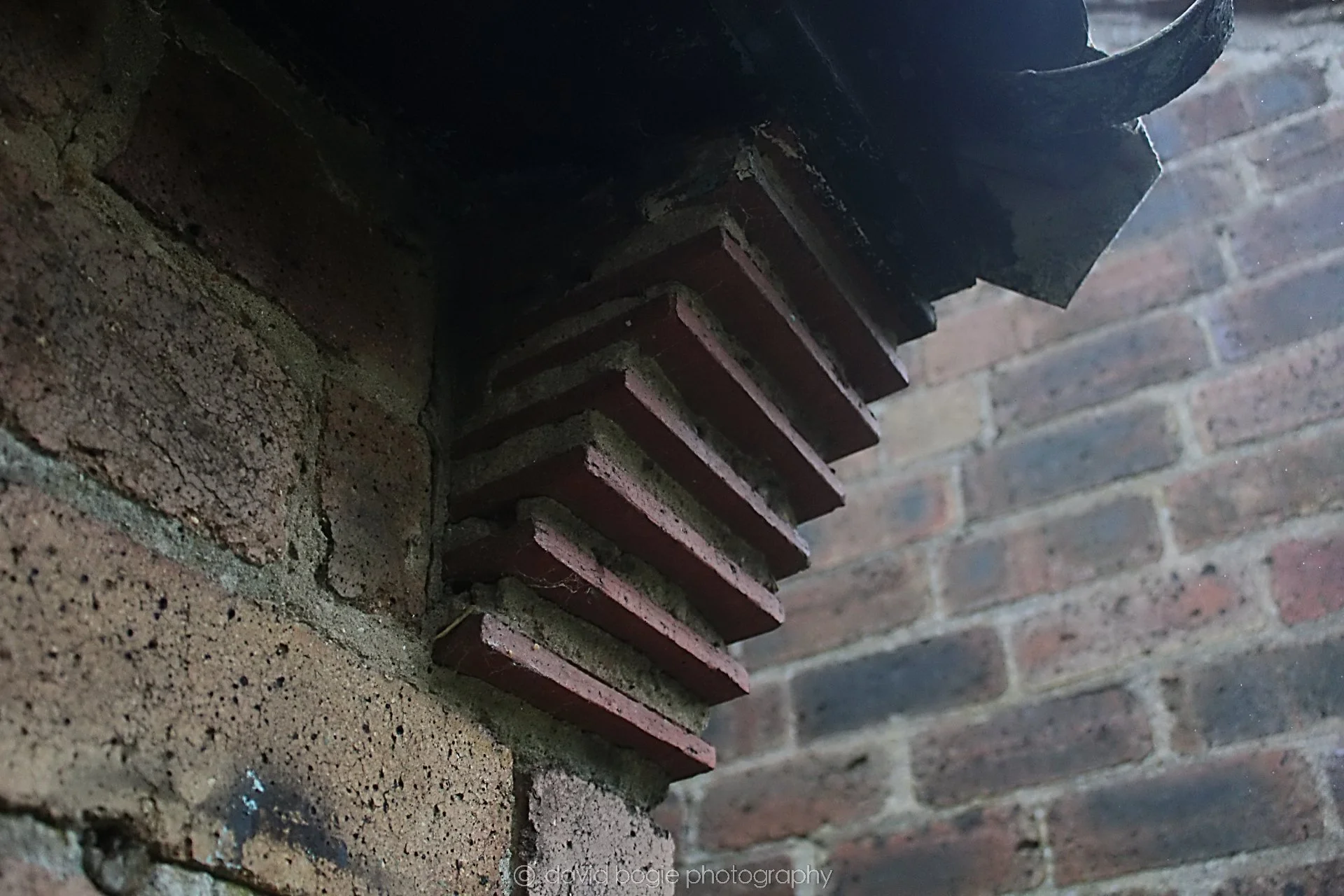 20210630 101933 Cardenden 0112.jpg