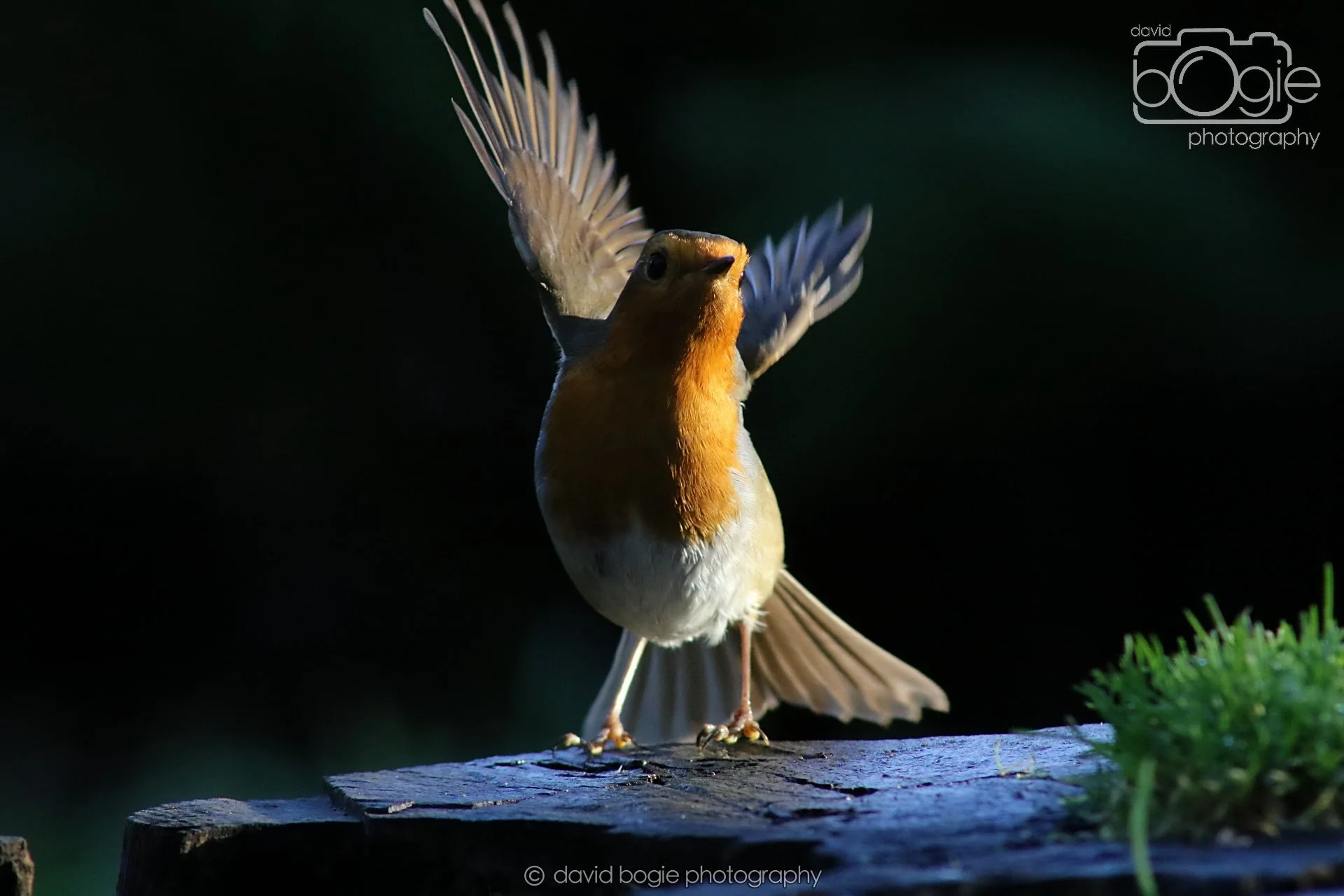 20251125 143130 Silverburn 0761.JPG