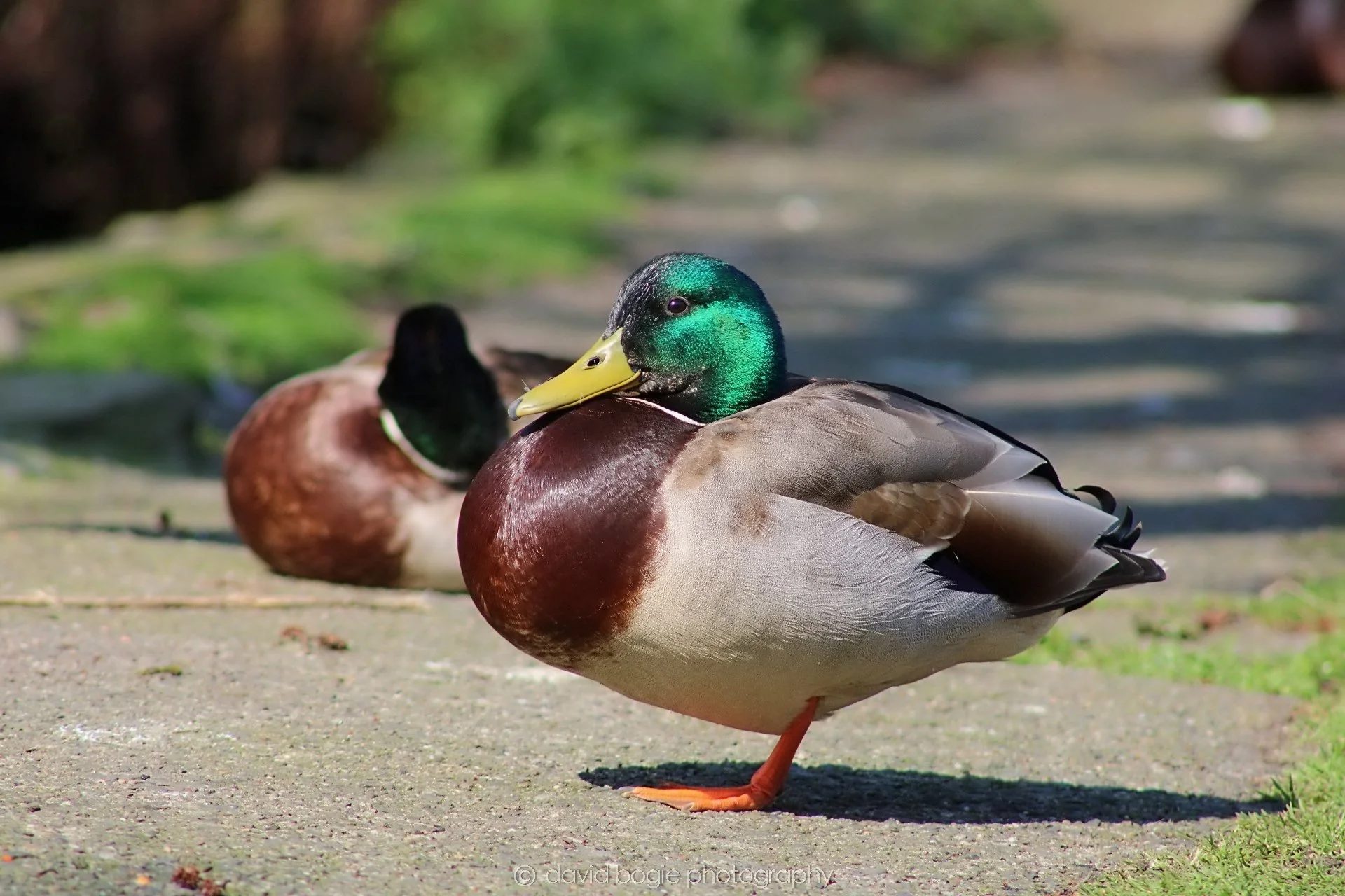 20190411 110516 Otterston 0004.jpg