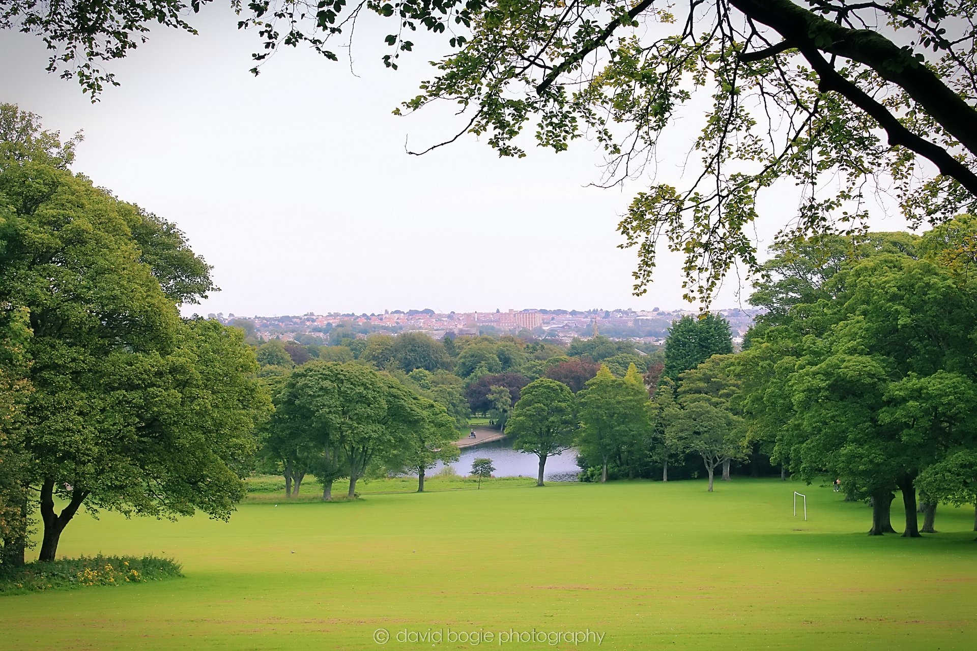 20190827 120103 Beveridge 0006.jpg