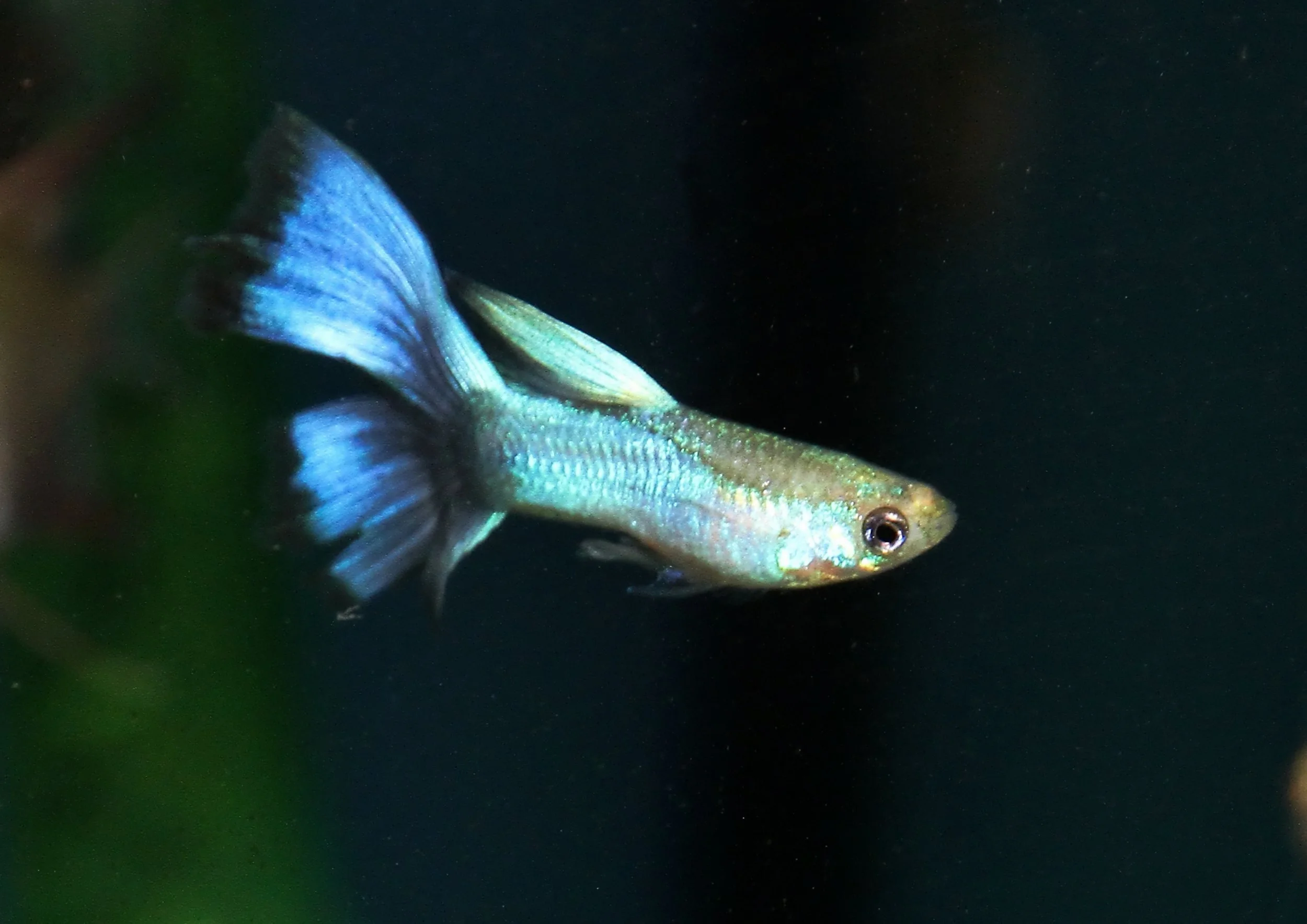 20260331 112106 K&S 0509.jpg