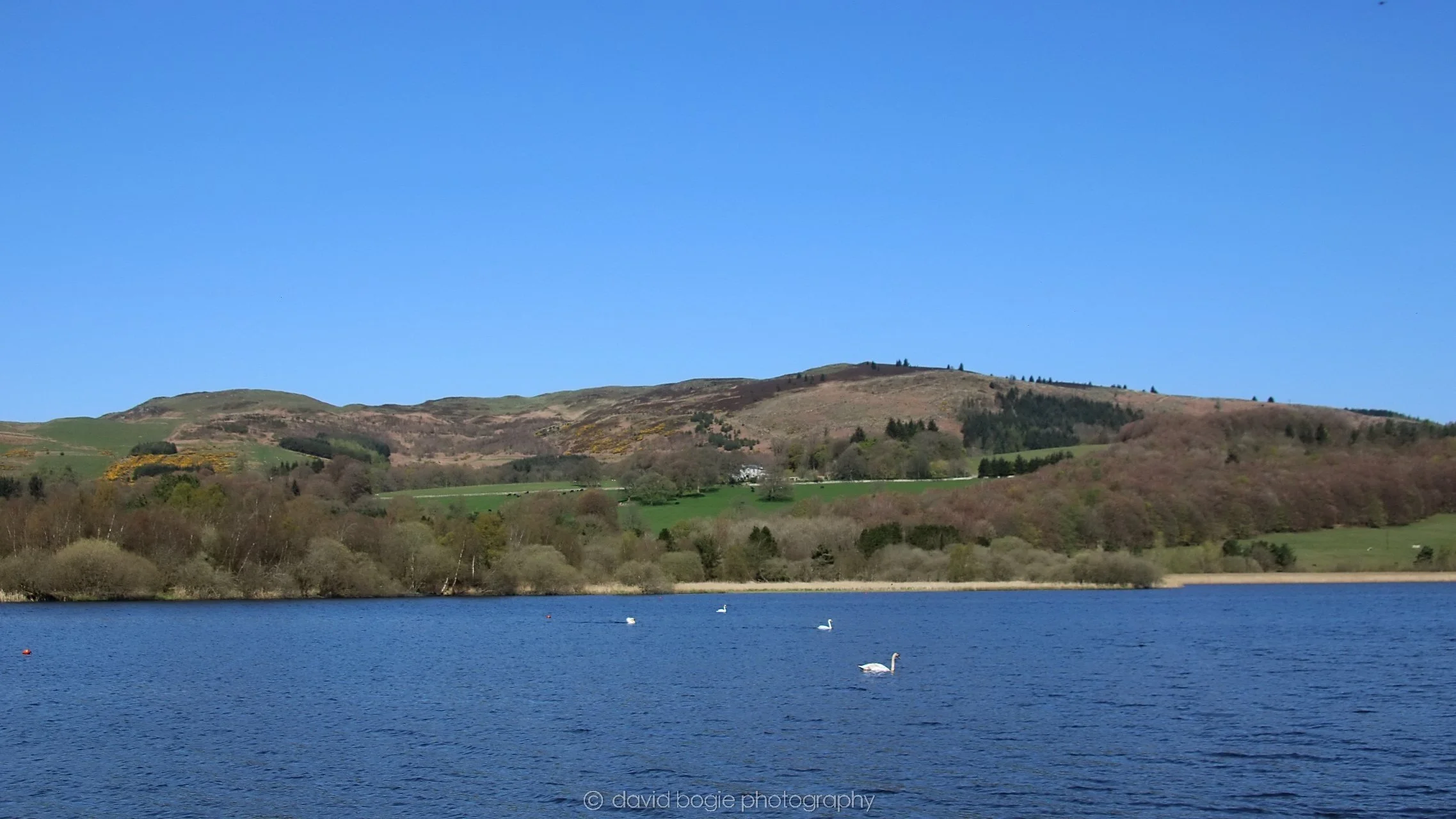 20210420 Lochore 23.jpg