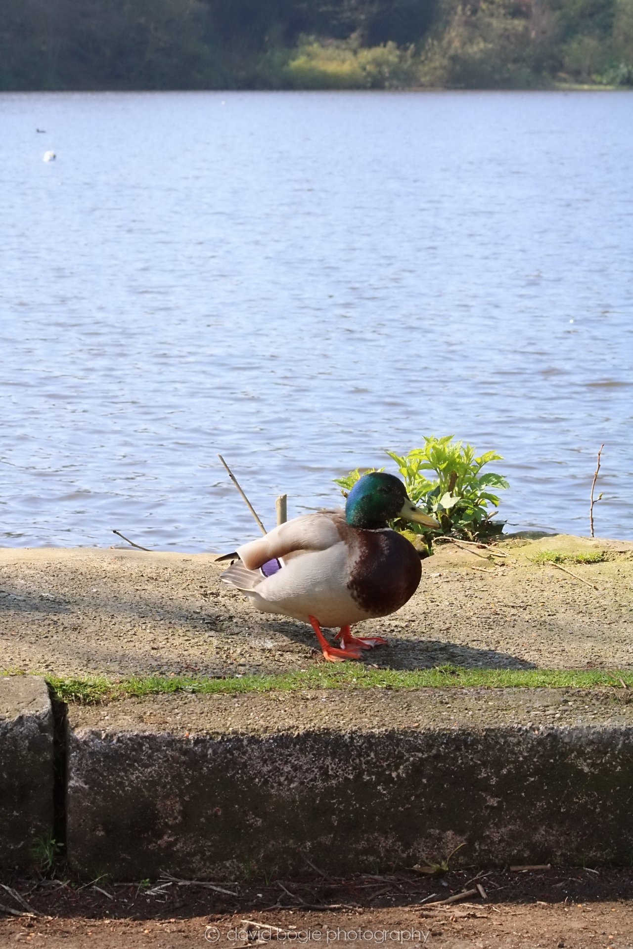20190411 110940 Otterston 0005.jpg