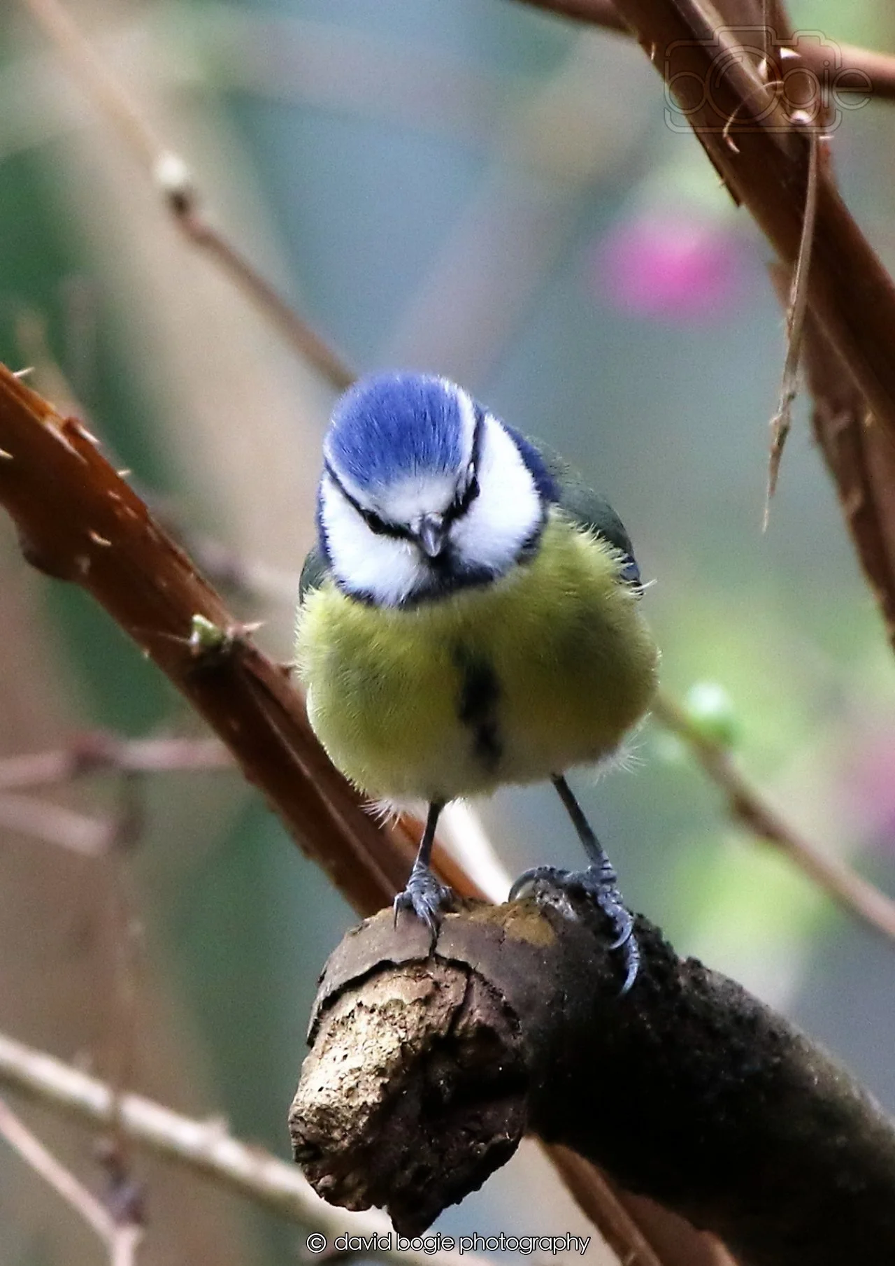 20260326 113335 Silverburn 0202.jpg