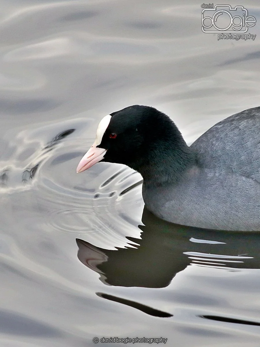 20260114 124547 Beveridge Park 0116.JPG