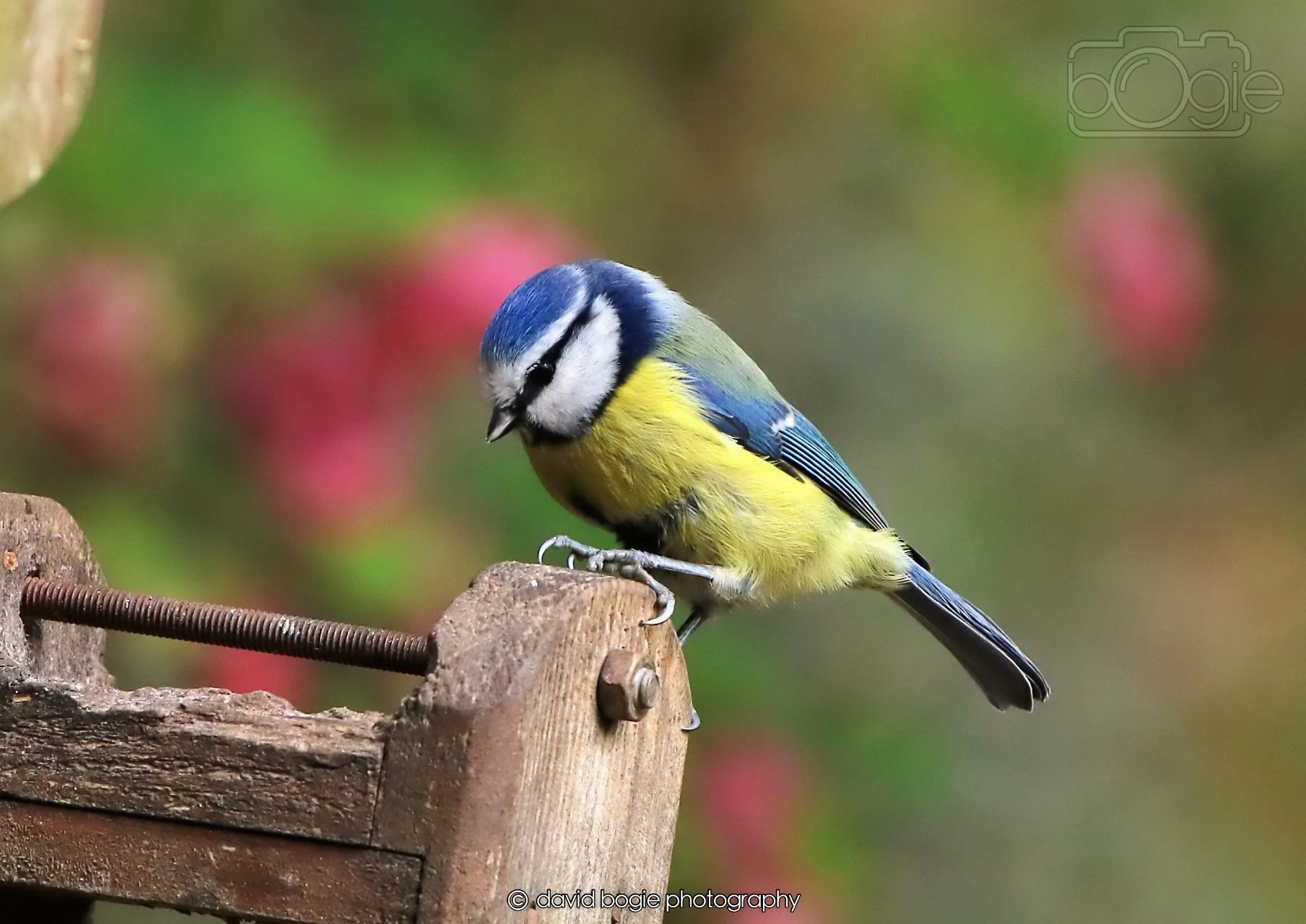 20260326 121207 Silverburn 0461.jpg