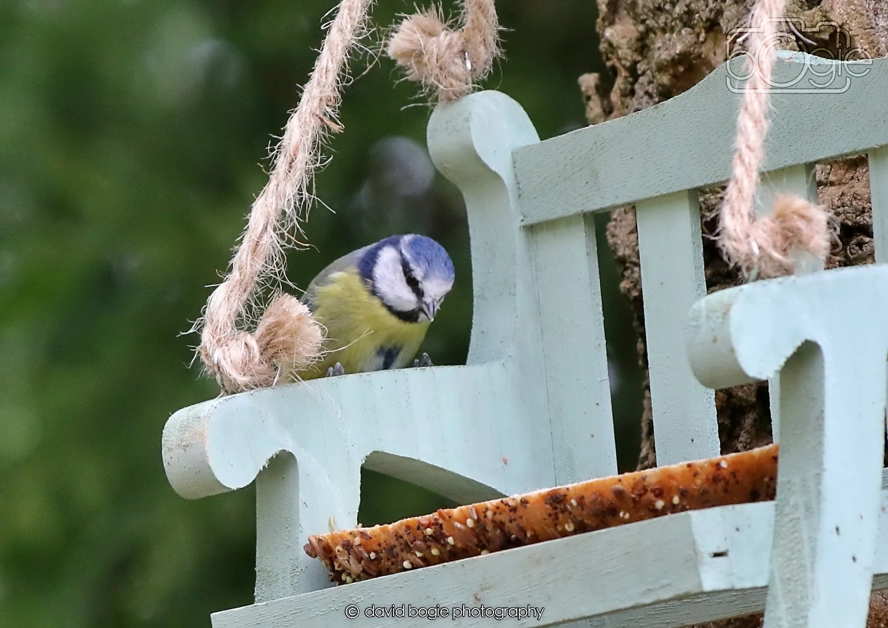 20260330 111338 Dunnikier 0051.jpg