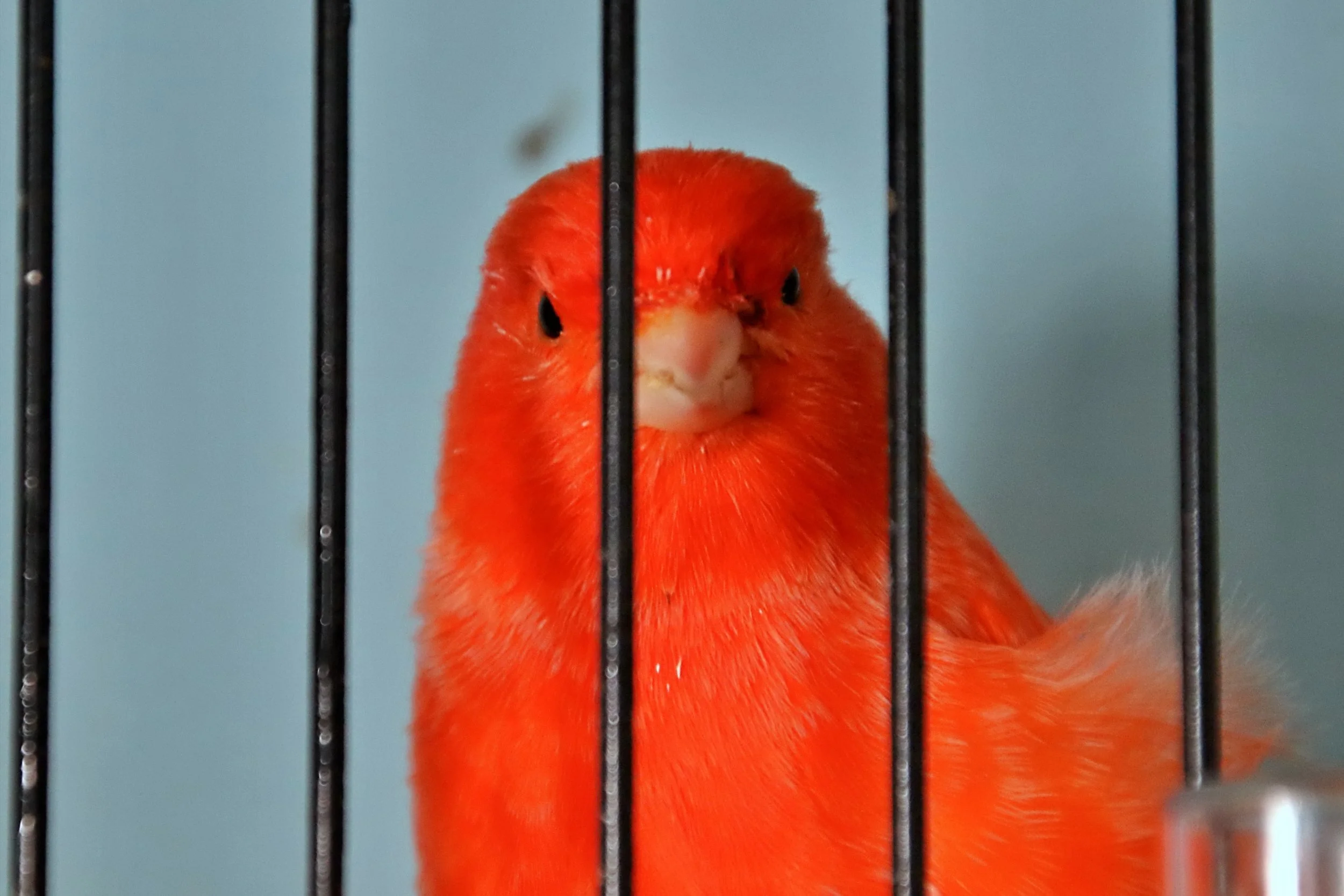 20251102 130236 Markinch CBS  0679.JPG