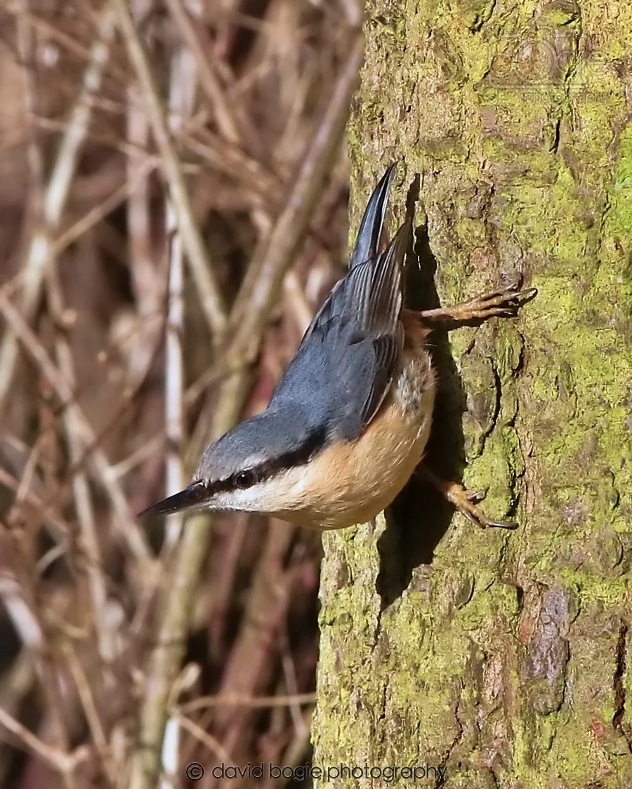 20260128 134205 Dunnikier 0255.jpg