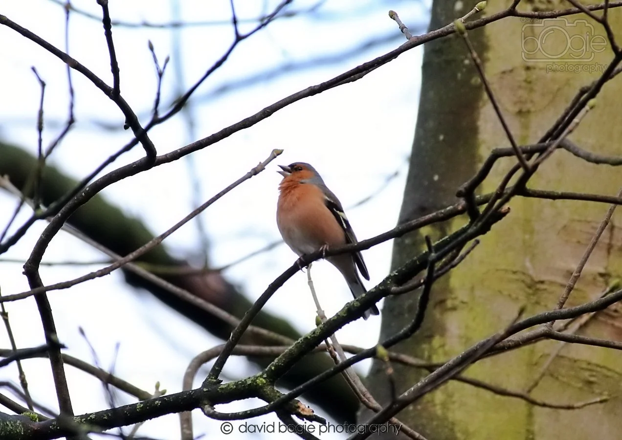 20260306 091332 Dunnikier 0056.jpg