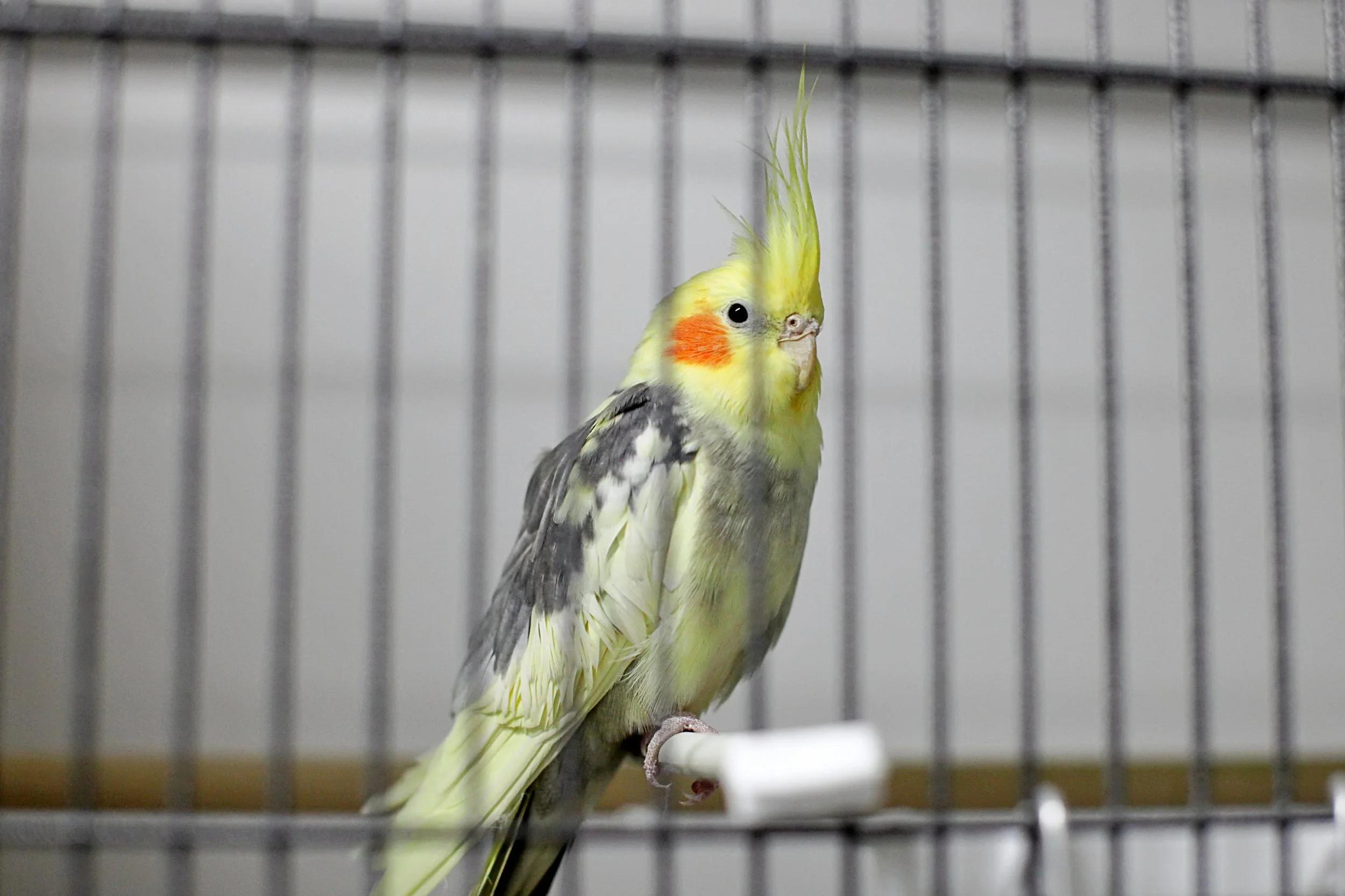 20251117 133104 IMG_0042.JPG