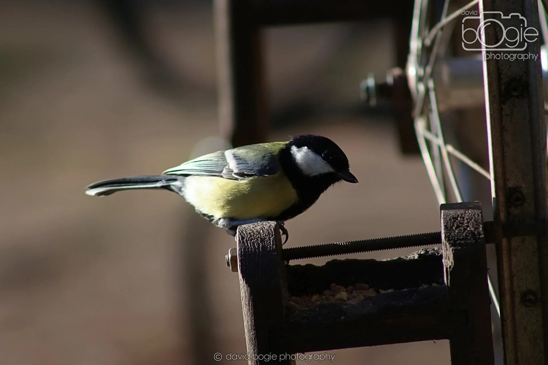 20251125 133410 Silverburn 0078.JPG