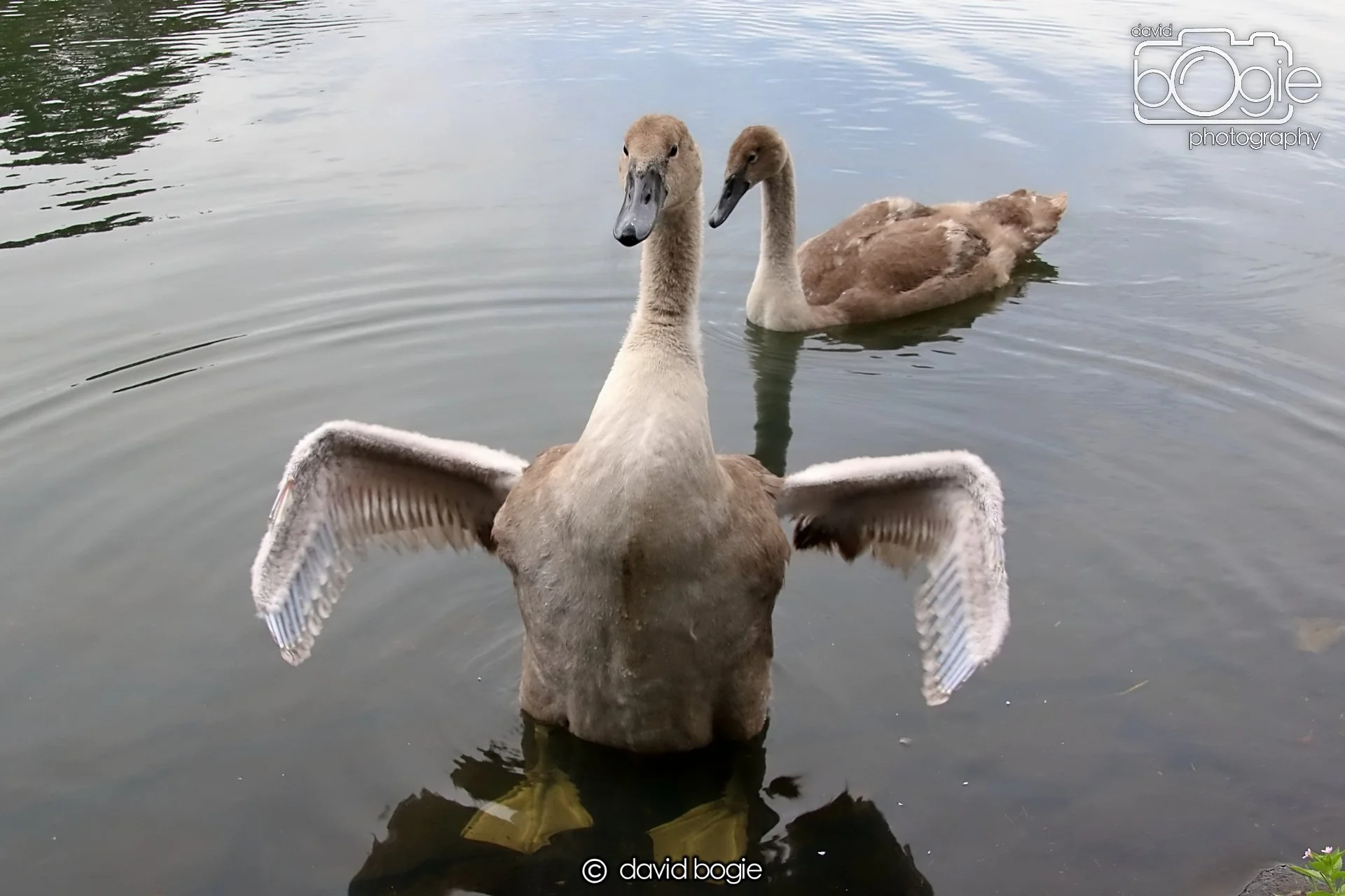 20250721 124139 Beveridge Park 0252.JPG