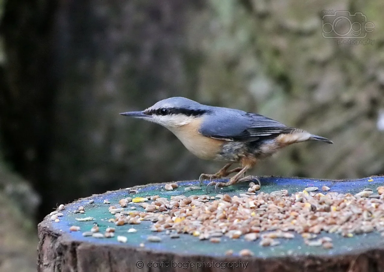 20260309 114653 Dunnikier 0389.jpg