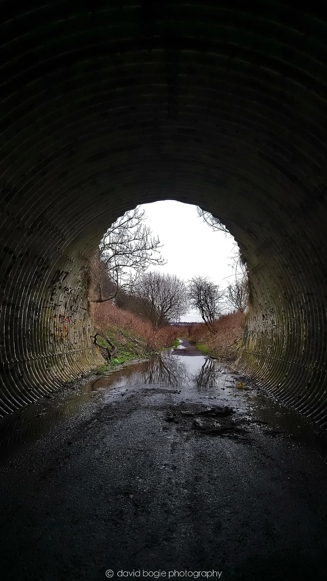 YEAR20180409 122641 Cameron Bridge 0100.jpg