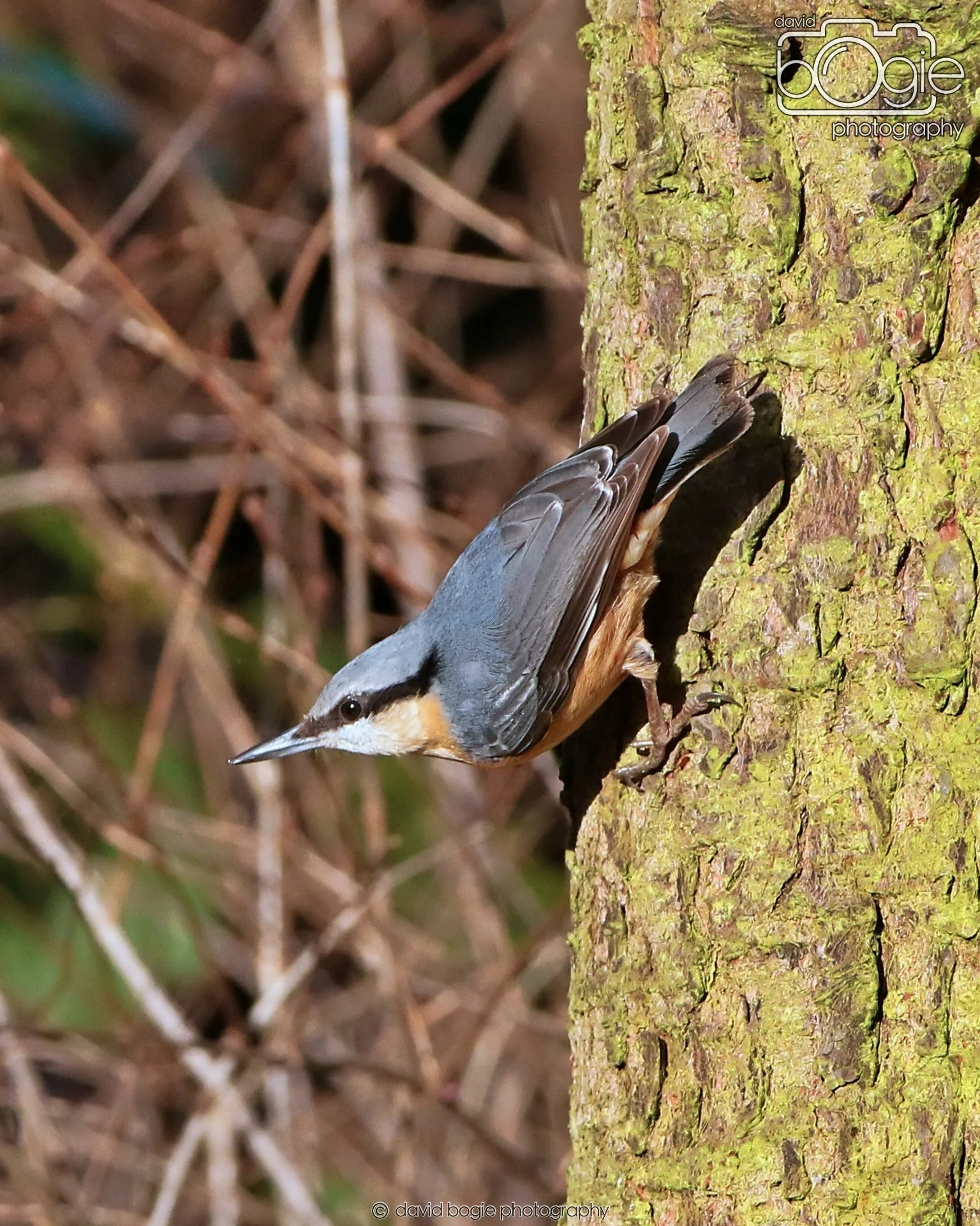 20260128 132707 Dunnikier 0186.JPG