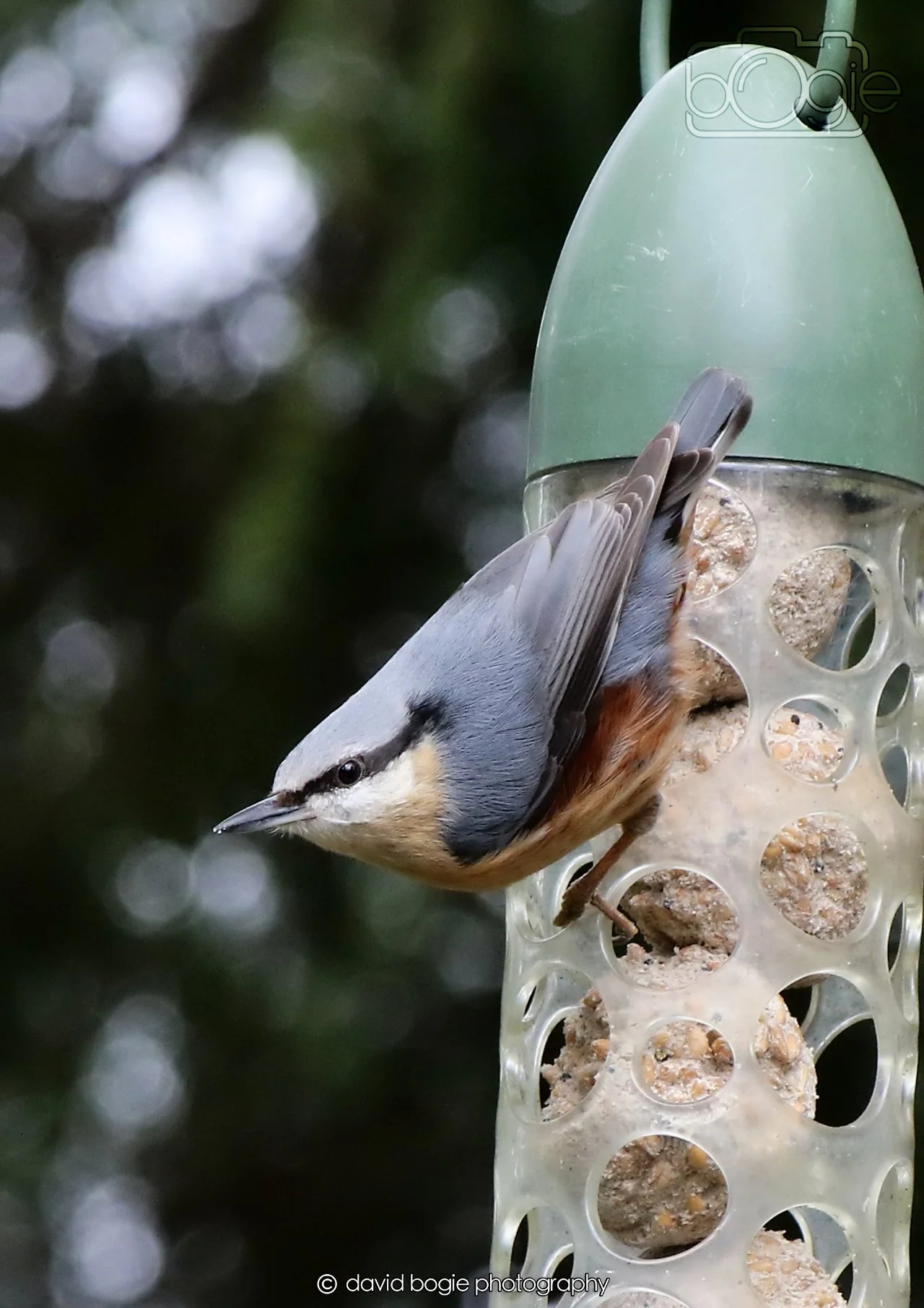 20260330 112426 Dunnikier 0122.jpg