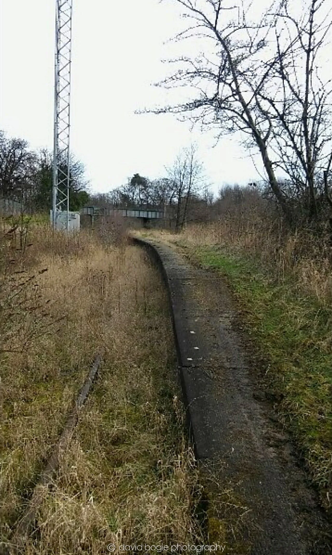 20170303 000000 Leven 0008.jpg