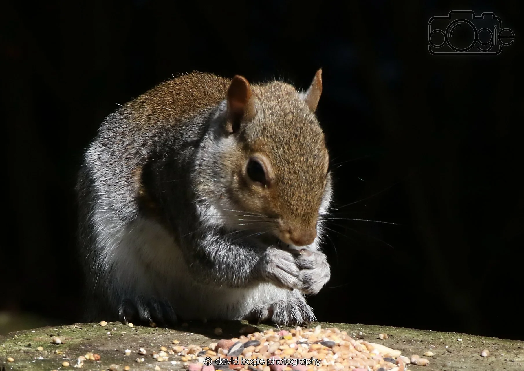 20260403 121516 Dunnikier 0102.jpg