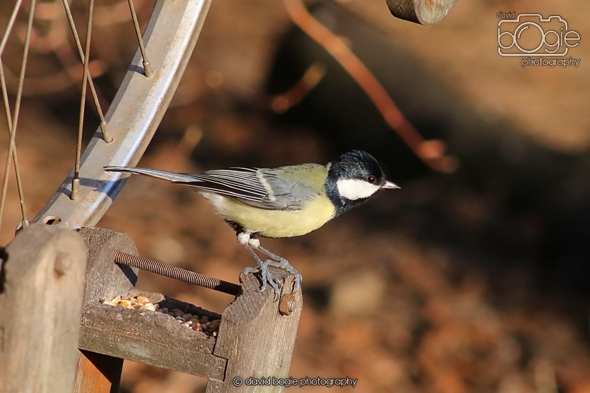 20251231 133824 Silverburn 0140.JPG