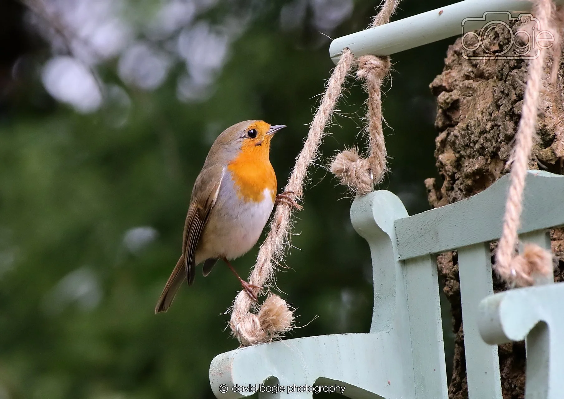 20260330 120707 Dunnikier 0370.jpg