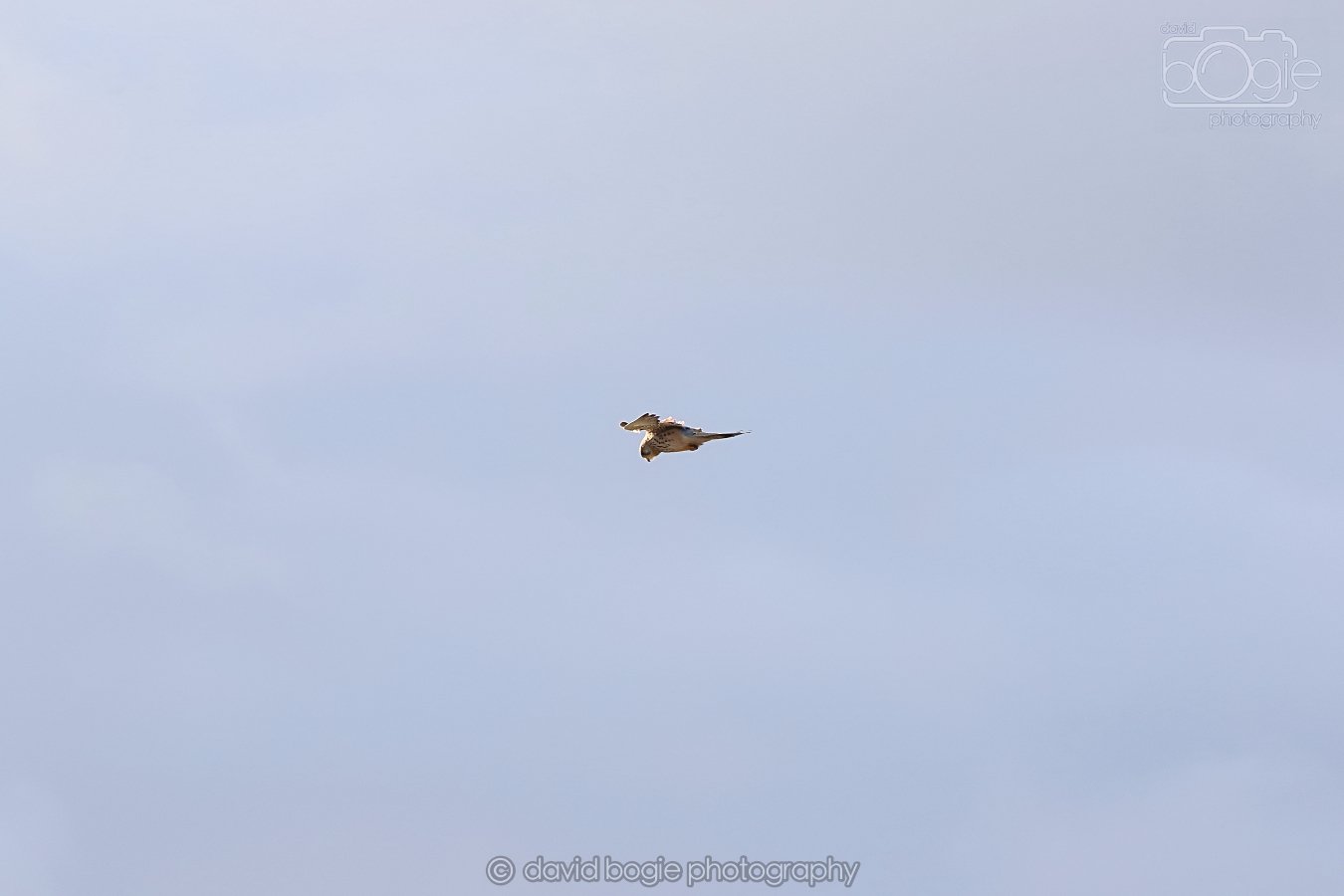 20260314 162044 Elie 0076.jpg