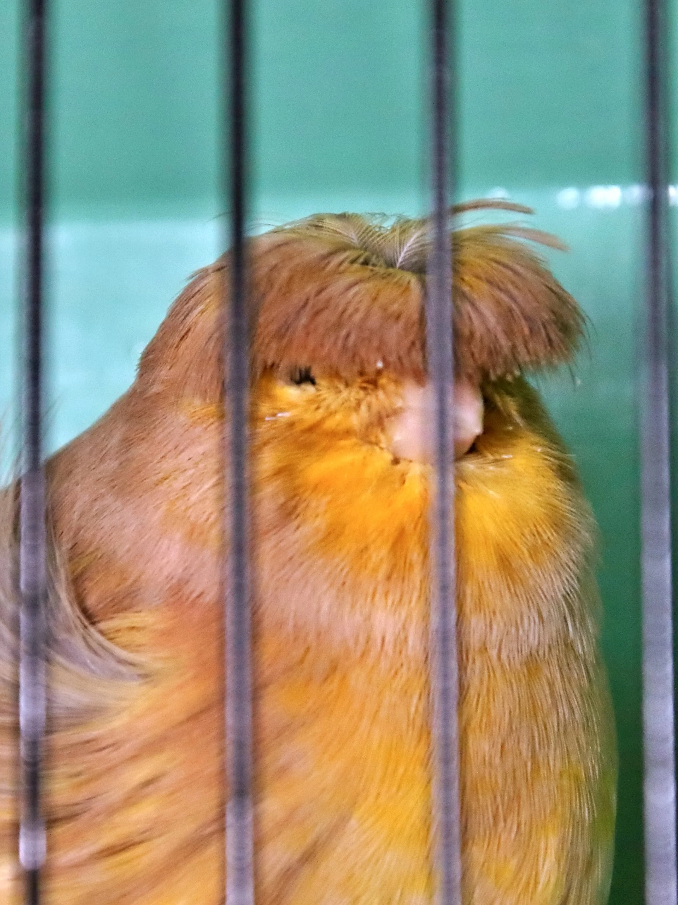 20251102 125621 Markinch CBS  0636.JPG