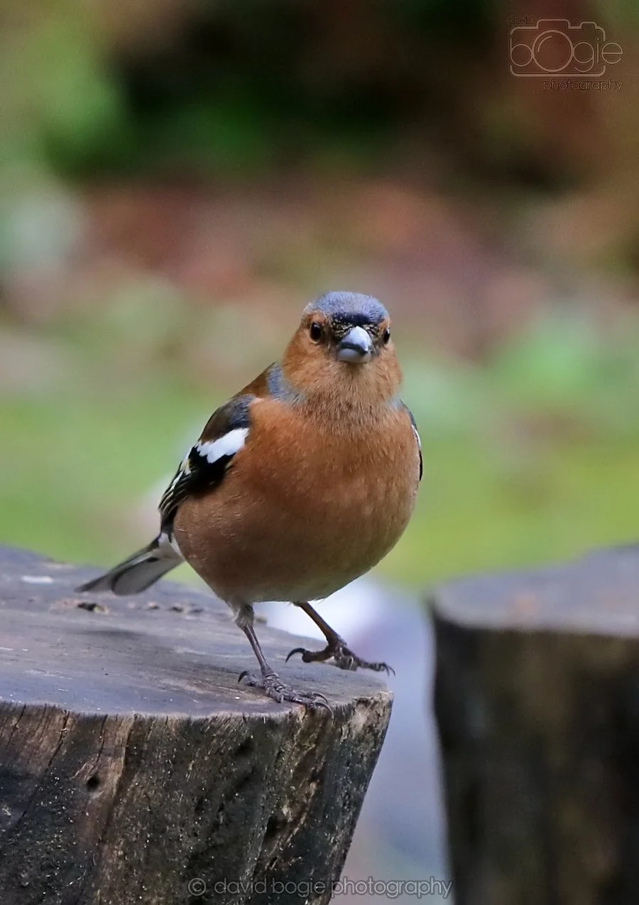 20260314 141020 Silverburn 0117.jpg