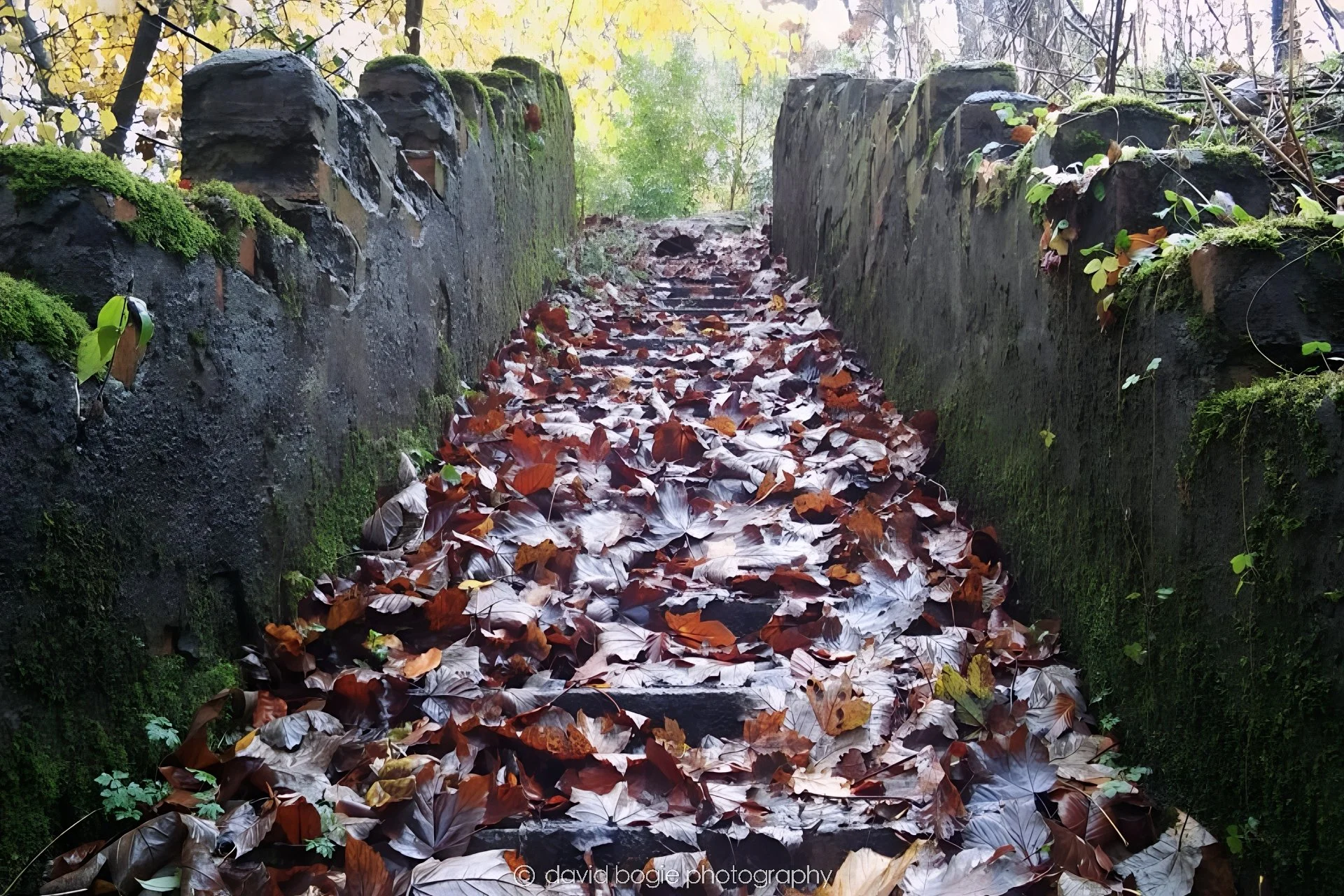 20161117 101312 Kirkcaldy 0023.jpg
