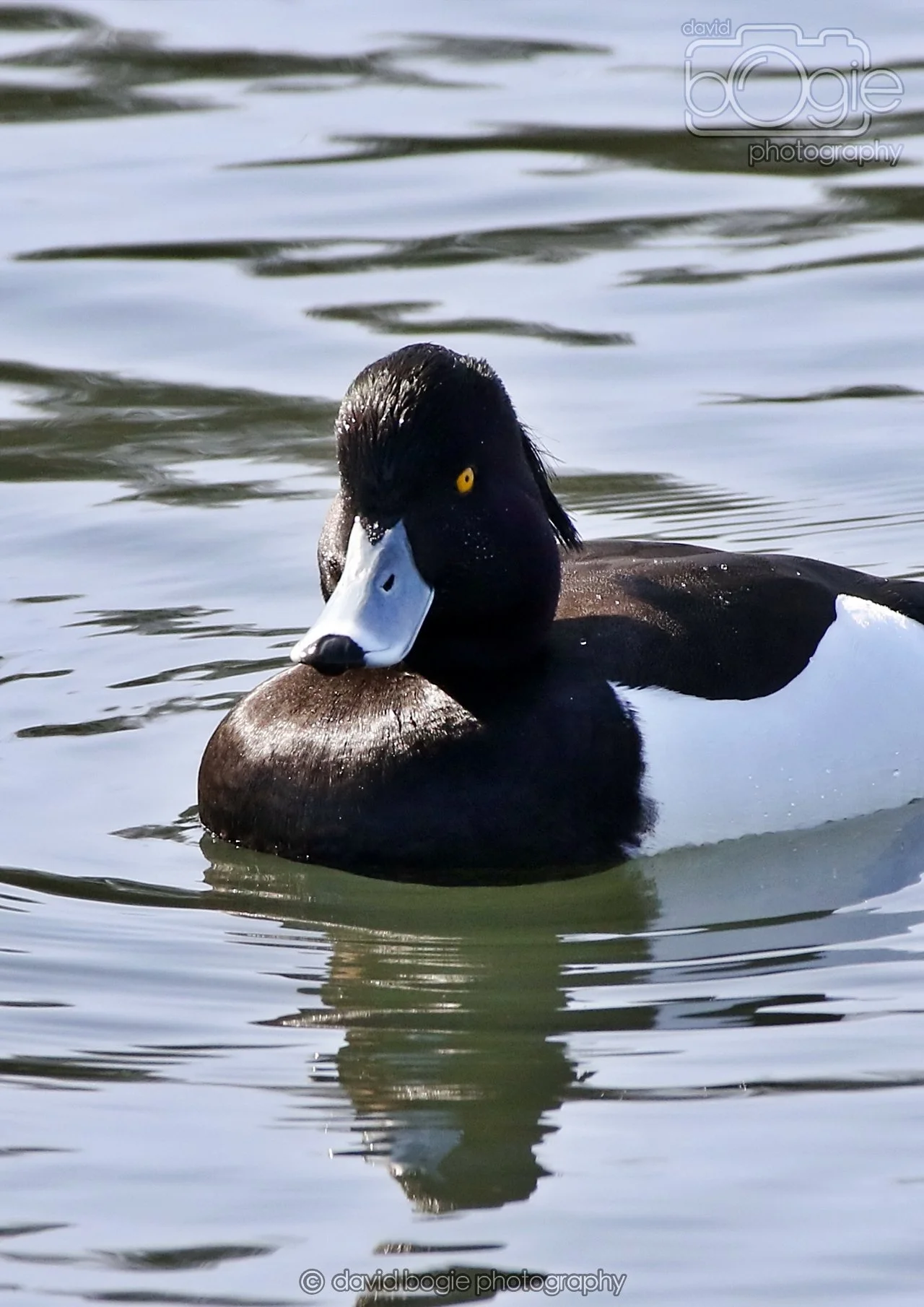 20260319 133042 Beveridge Park 0454.jpg