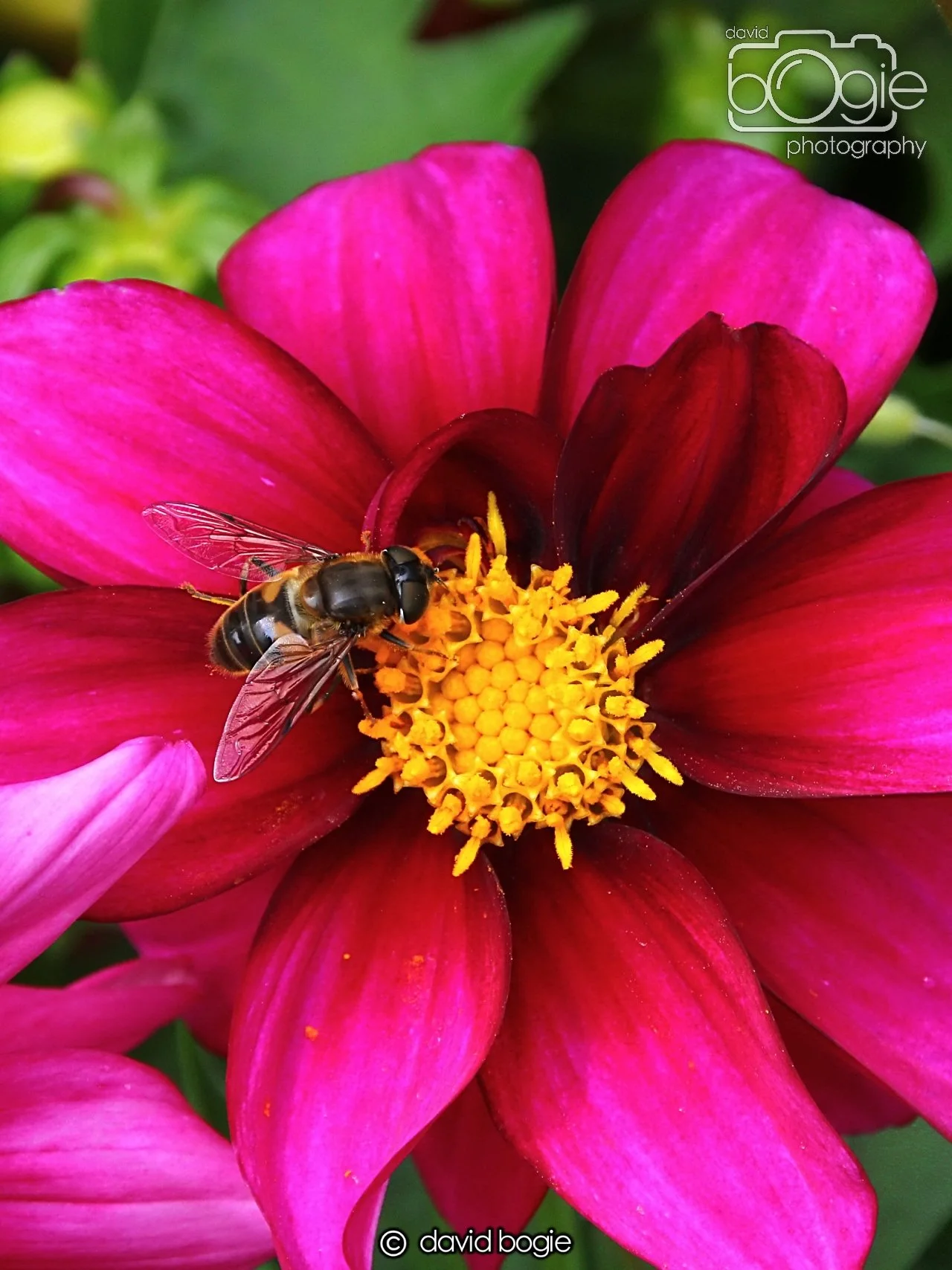 20240722 131657 Beveridge 0072.JPG