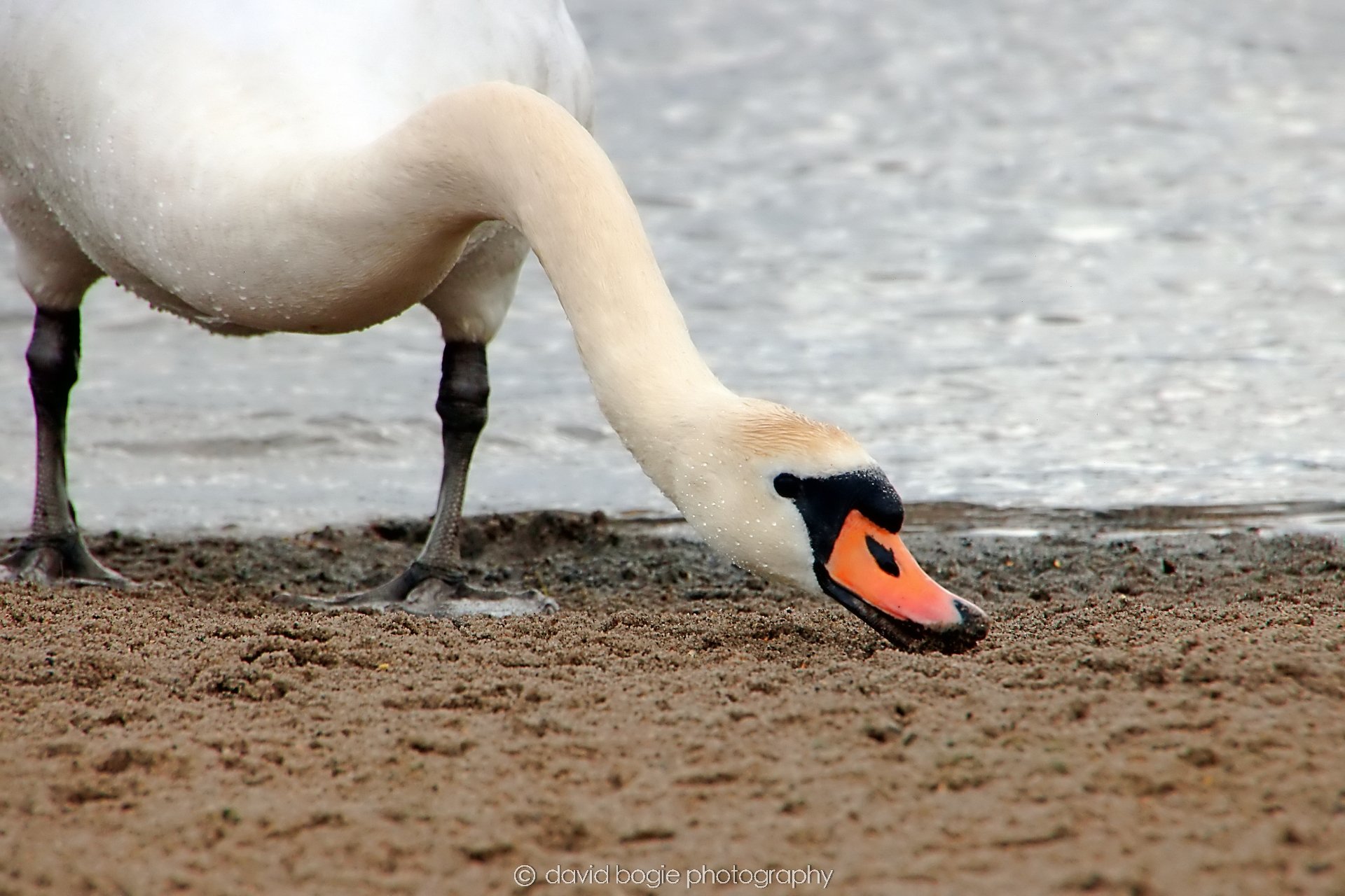 YEAR20240316 145803 Lochore Meadows 0029.jpg
