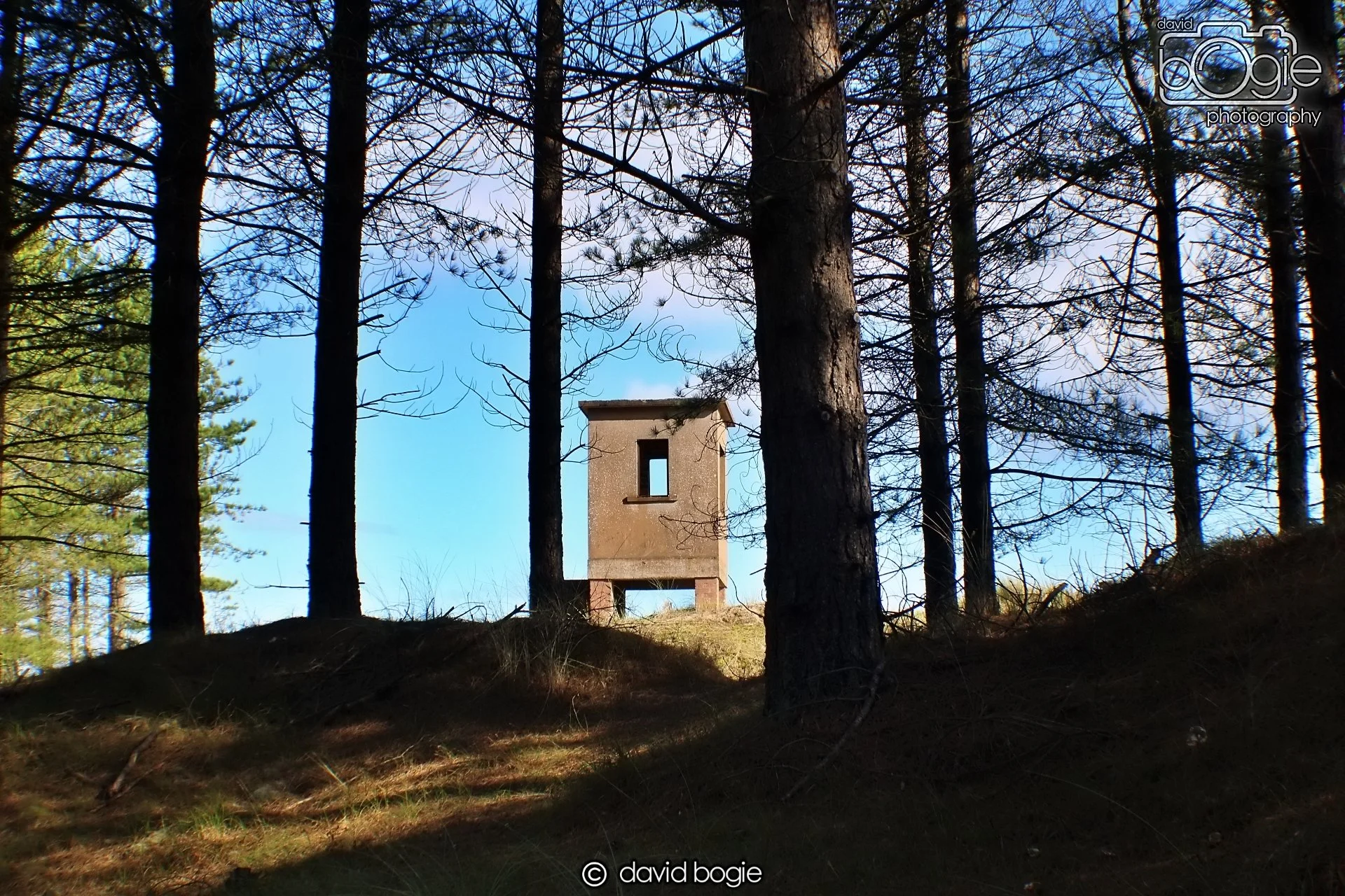 20191002 121211 Tentsmuir 0003.jpg