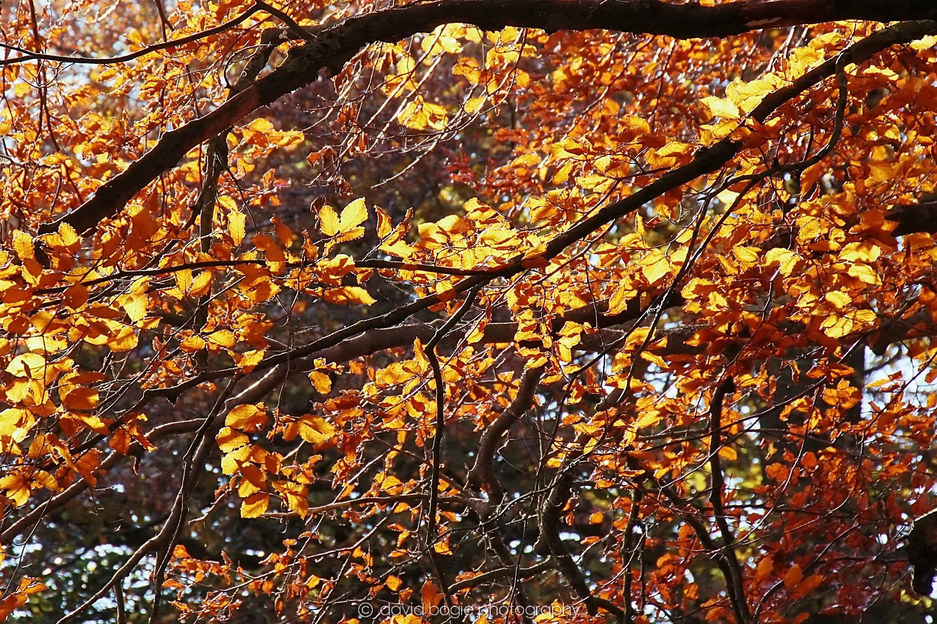 YEAR20231107 Beveridge Park 0348.jpg