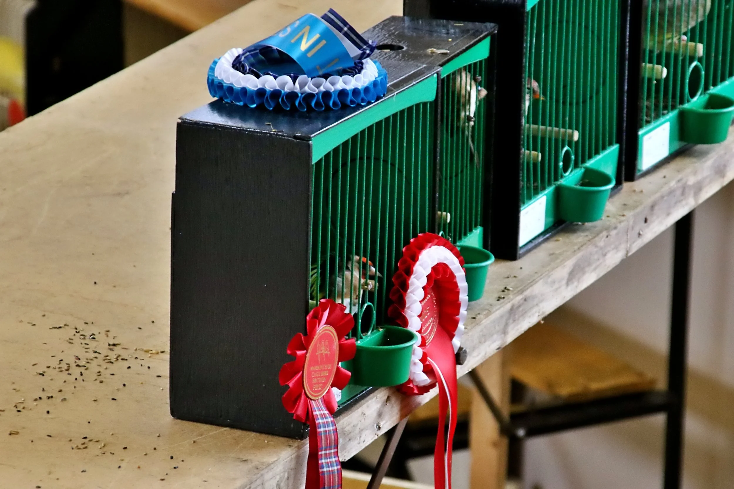 20251102 122917 Markinch CBS  0412.JPG