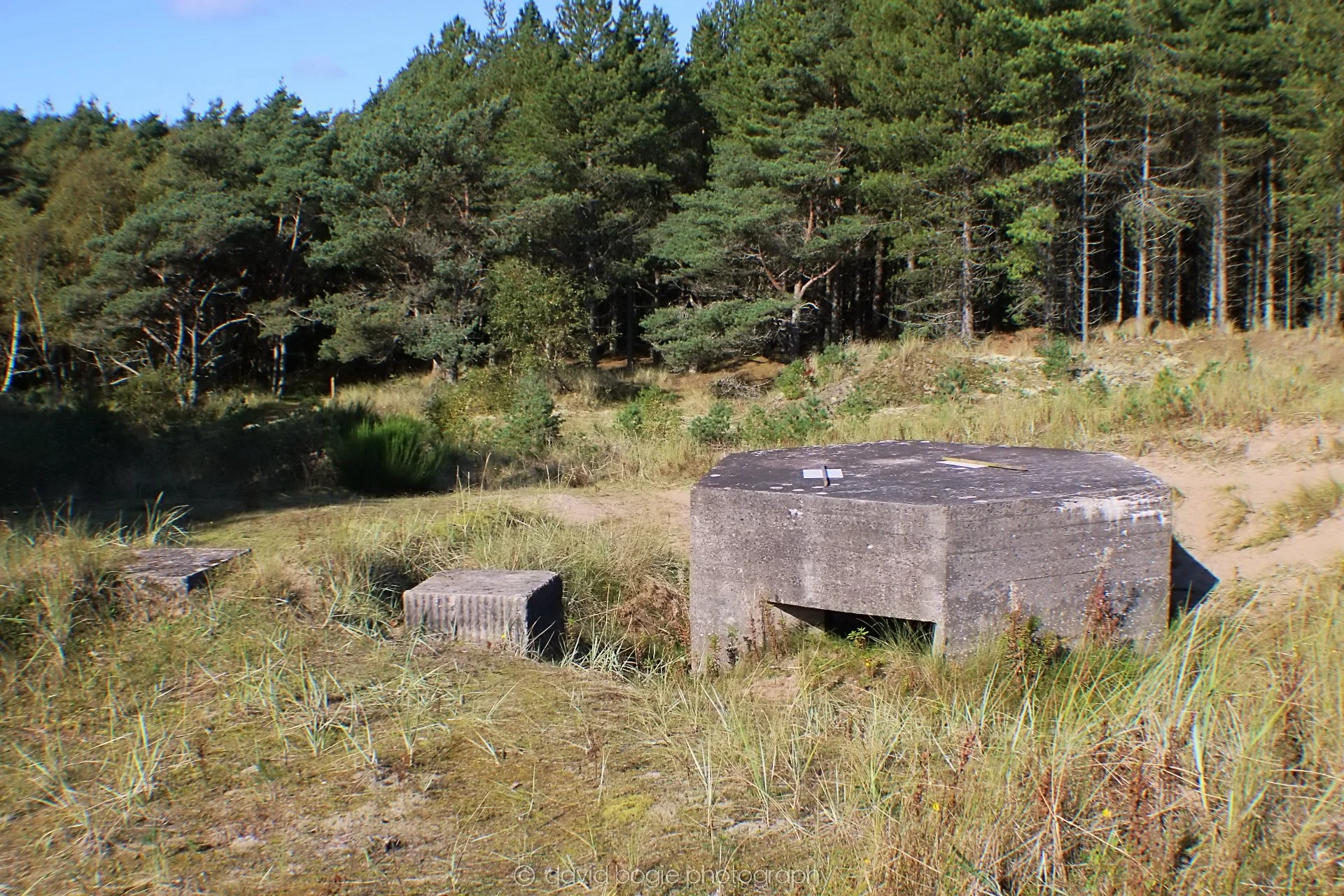 20191002 122621 Tentsmuir 0010.jpg