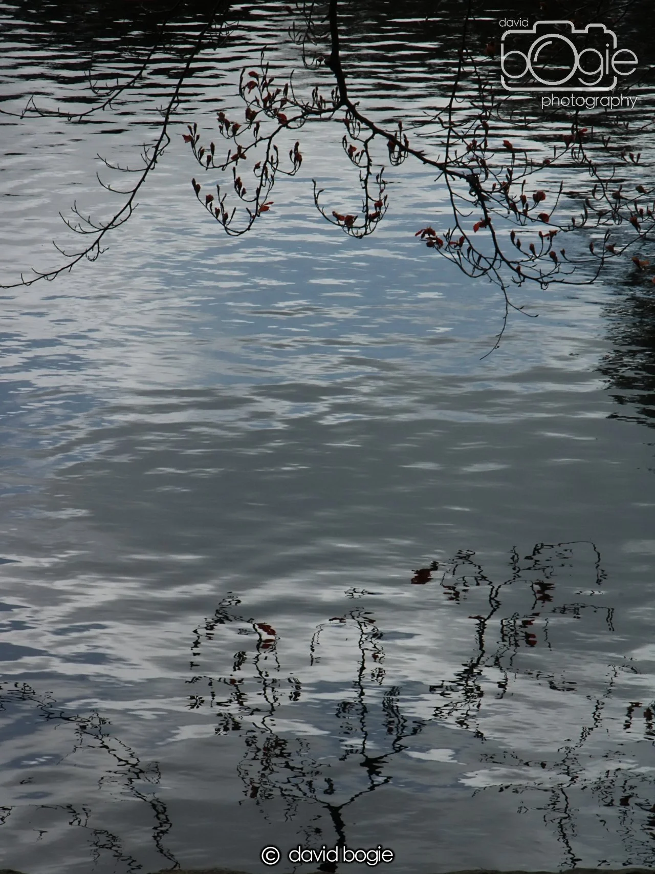 20240423 114016 Beveridge 0038.JPG