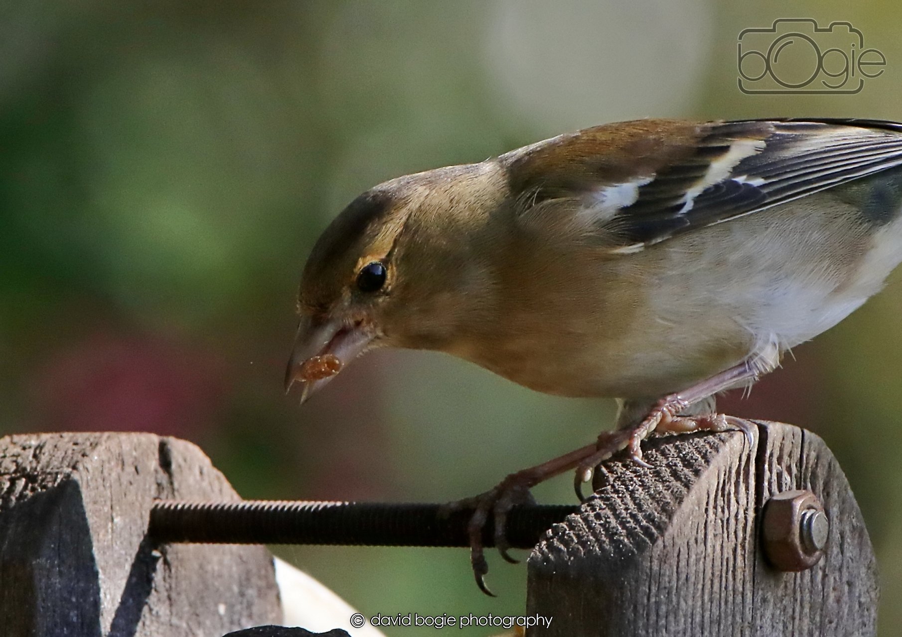 20260402 095711 Silverburn 0044.jpg