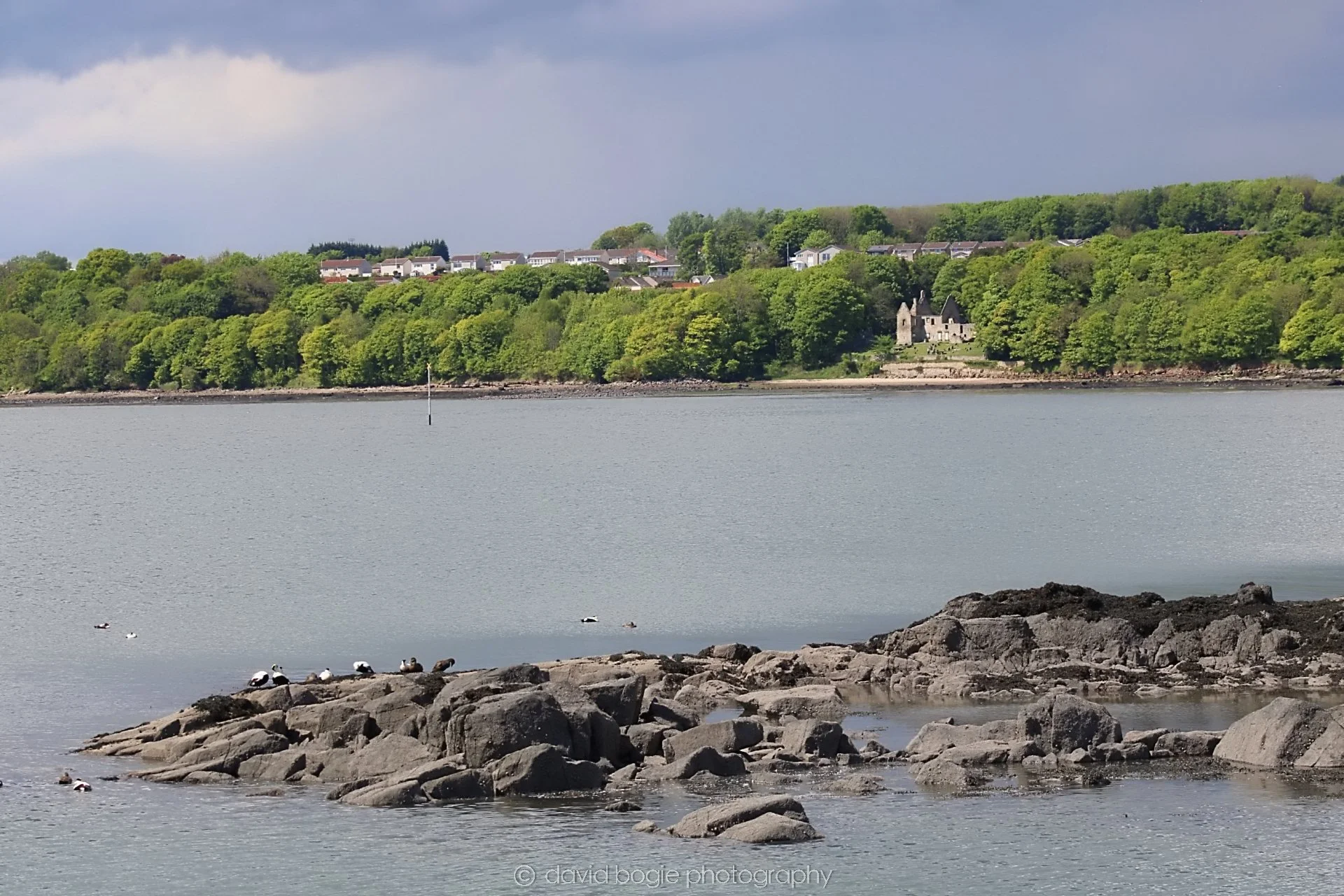 20190521 131323 Braefoot & Charles Hill 0044.jpg