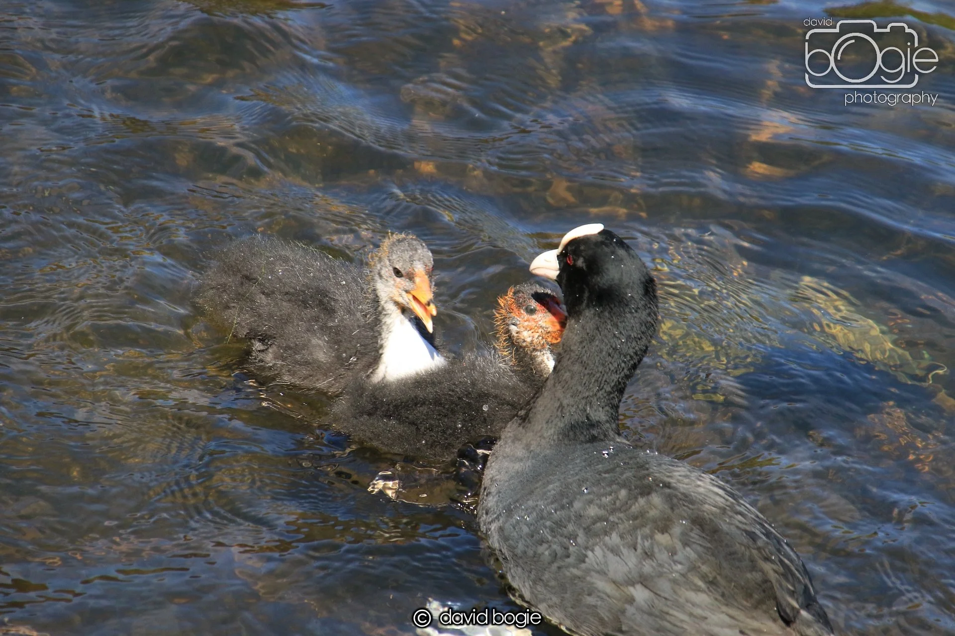 20250517 123916 Beveridge Park 0510.JPG