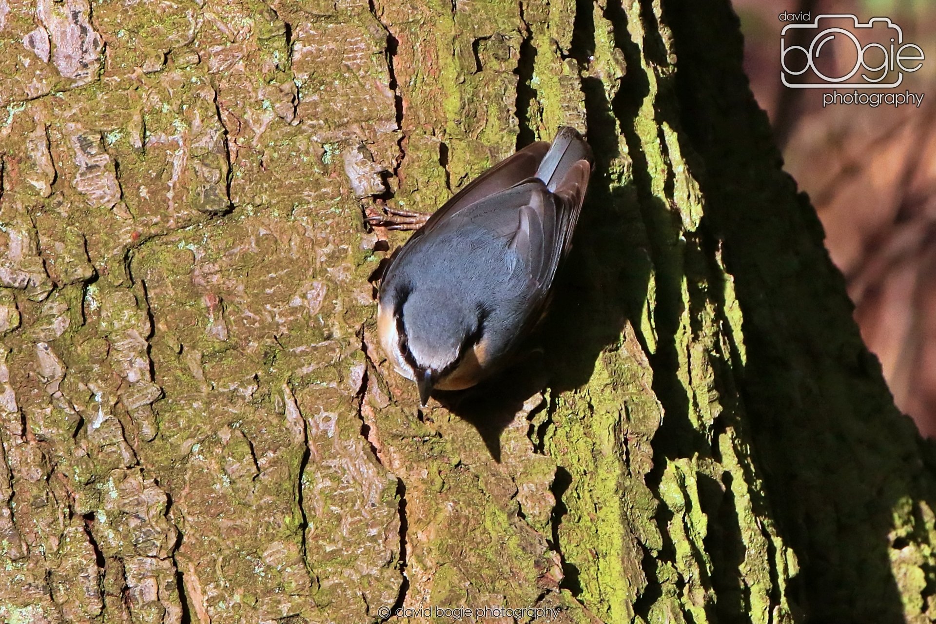 20260128 132744 Dunnikier 0192.JPG