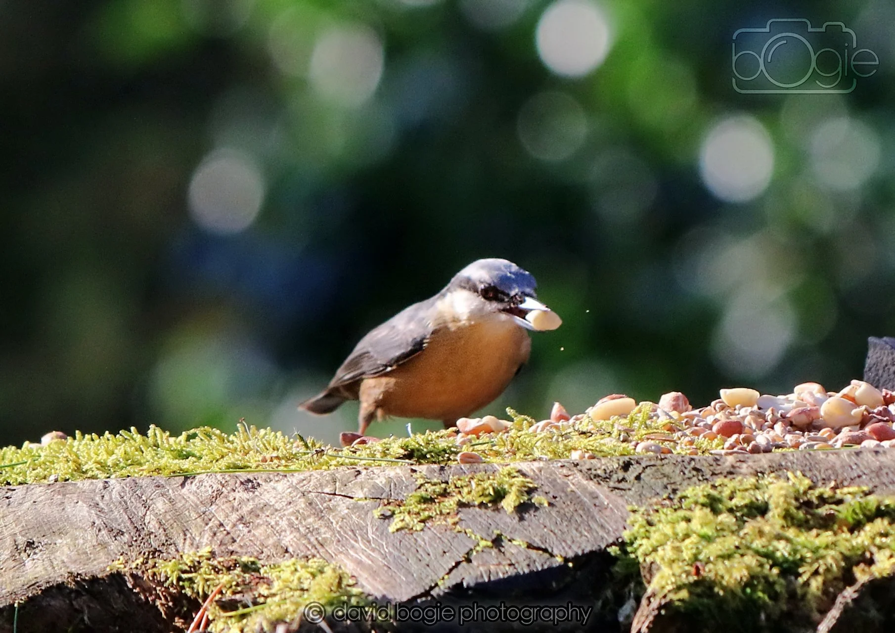 20260320 145510 Ravenscraig 0456.jpg