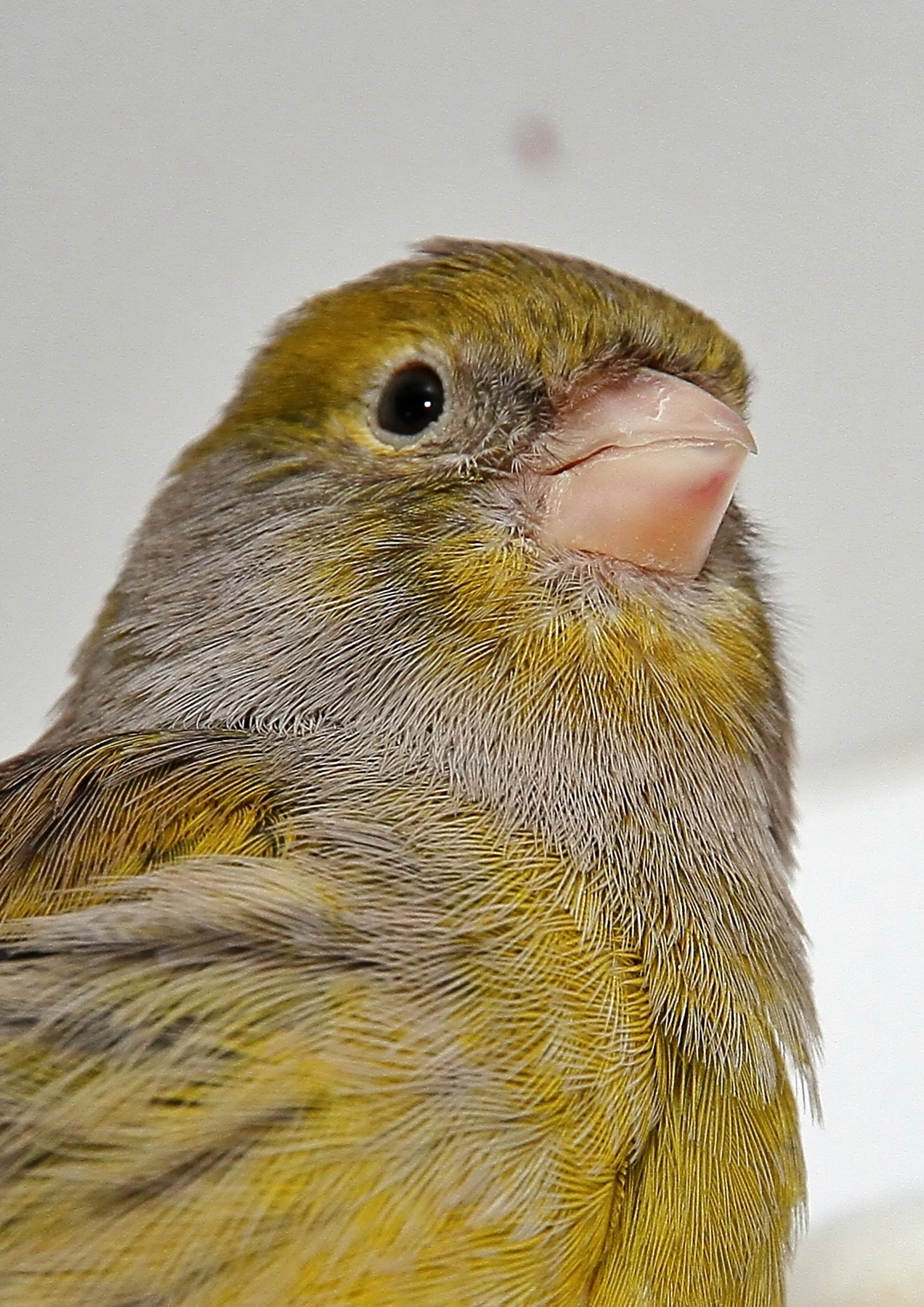 20260331 111809 K&S 0461.jpg