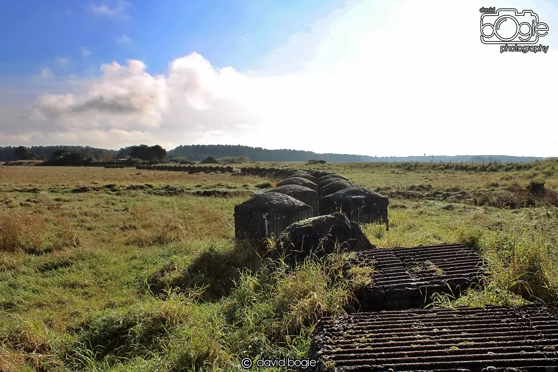 20191014 112451 Tentsmuir 0026.JPG